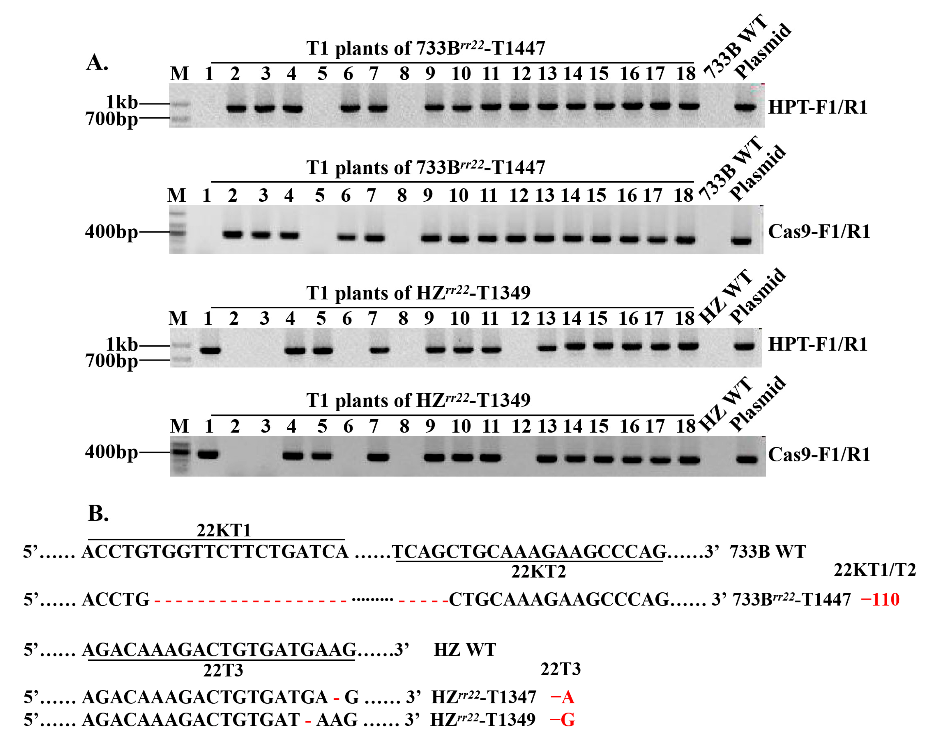 Ijms 24 08025 g003 Ijms 24 08025 g003
