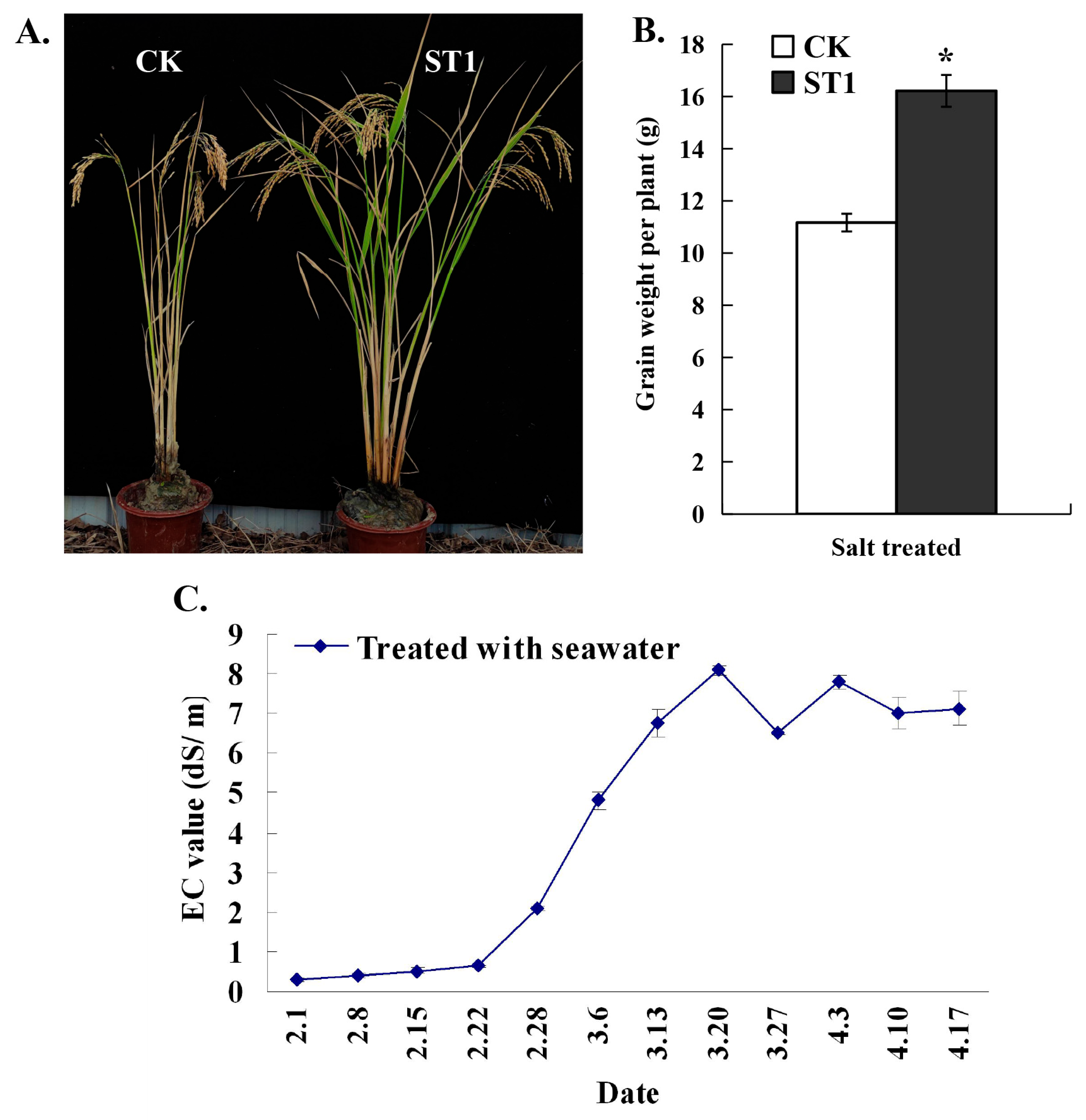 Ijms 24 08025 g008 Ijms 24 08025 g008