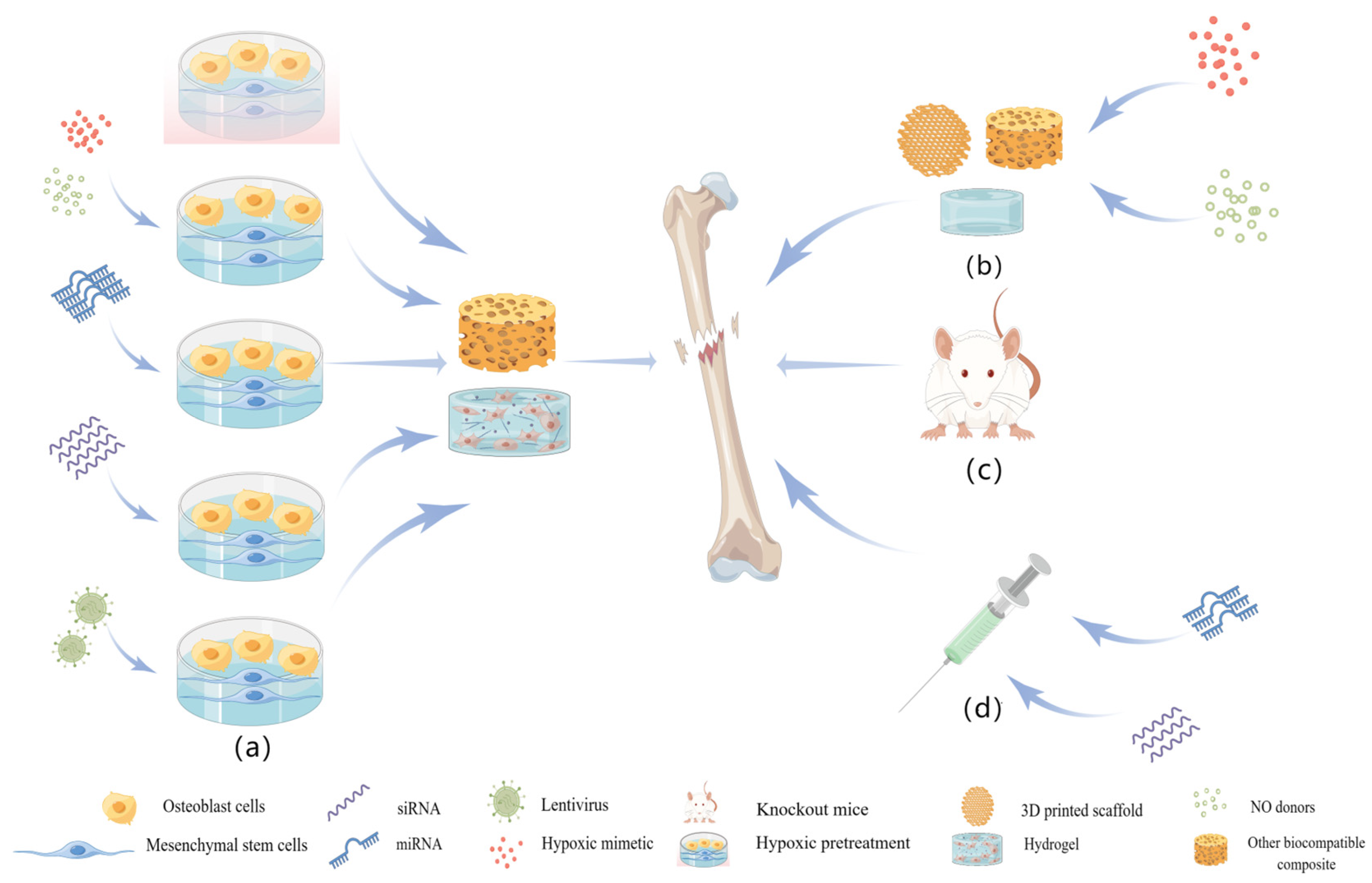 Ijms 24 08029 g007 Ijms 24 08029 g007