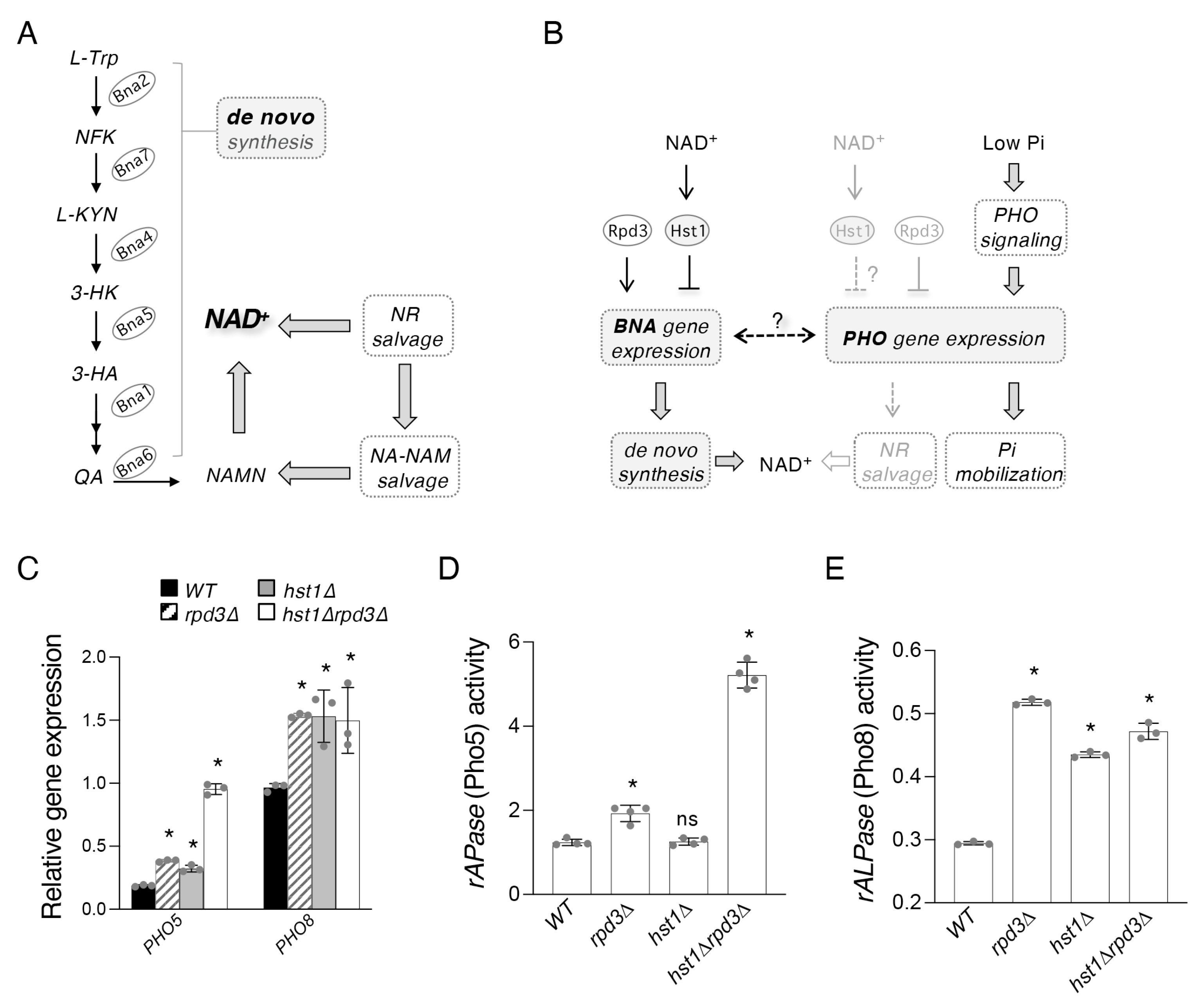 Ijms 24 08047 g001 Ijms 24 08047 g001