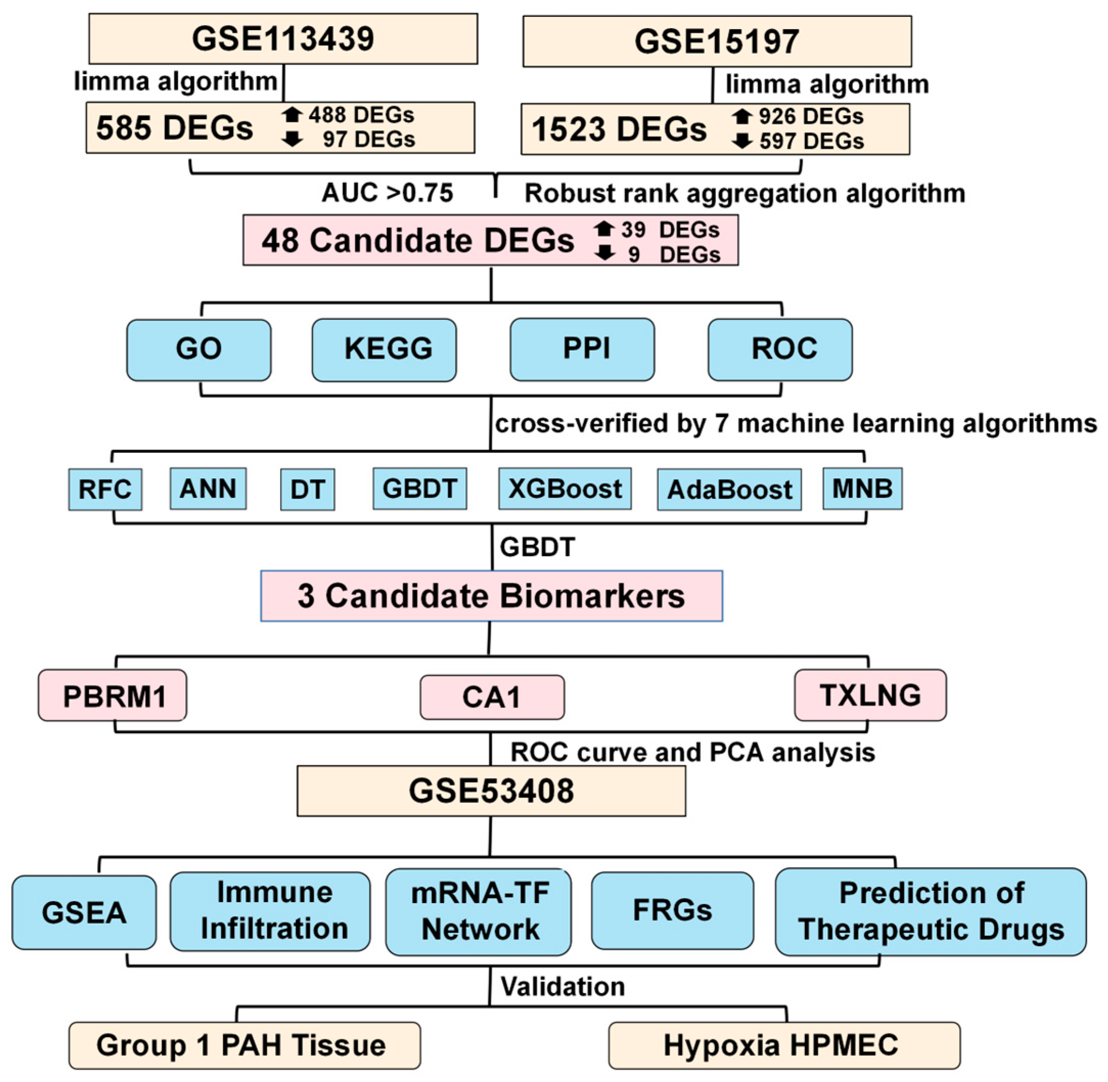 Ijms 24 08050 g001 Ijms 24 08050 g001