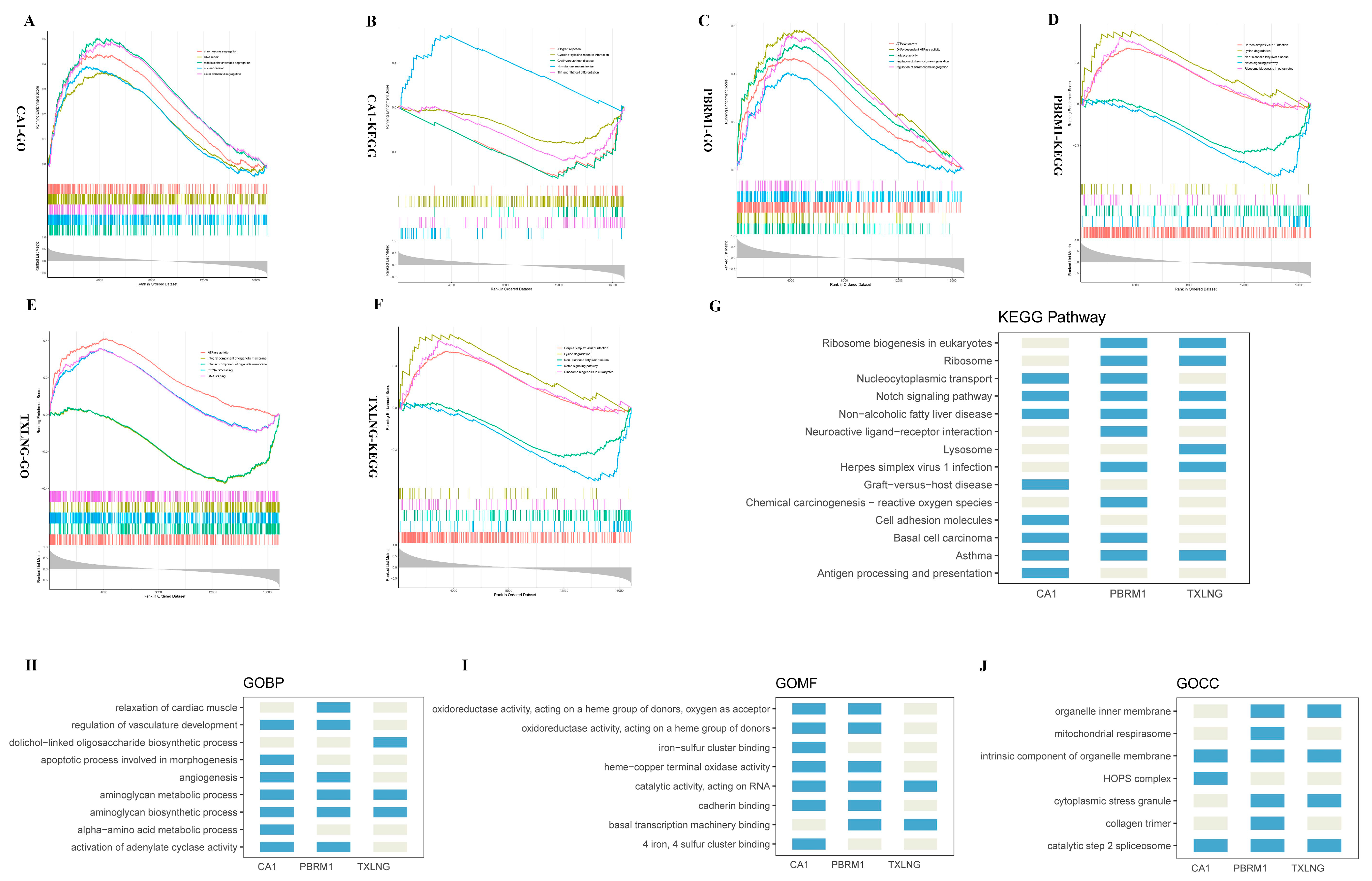 Ijms 24 08050 g005 Ijms 24 08050 g005