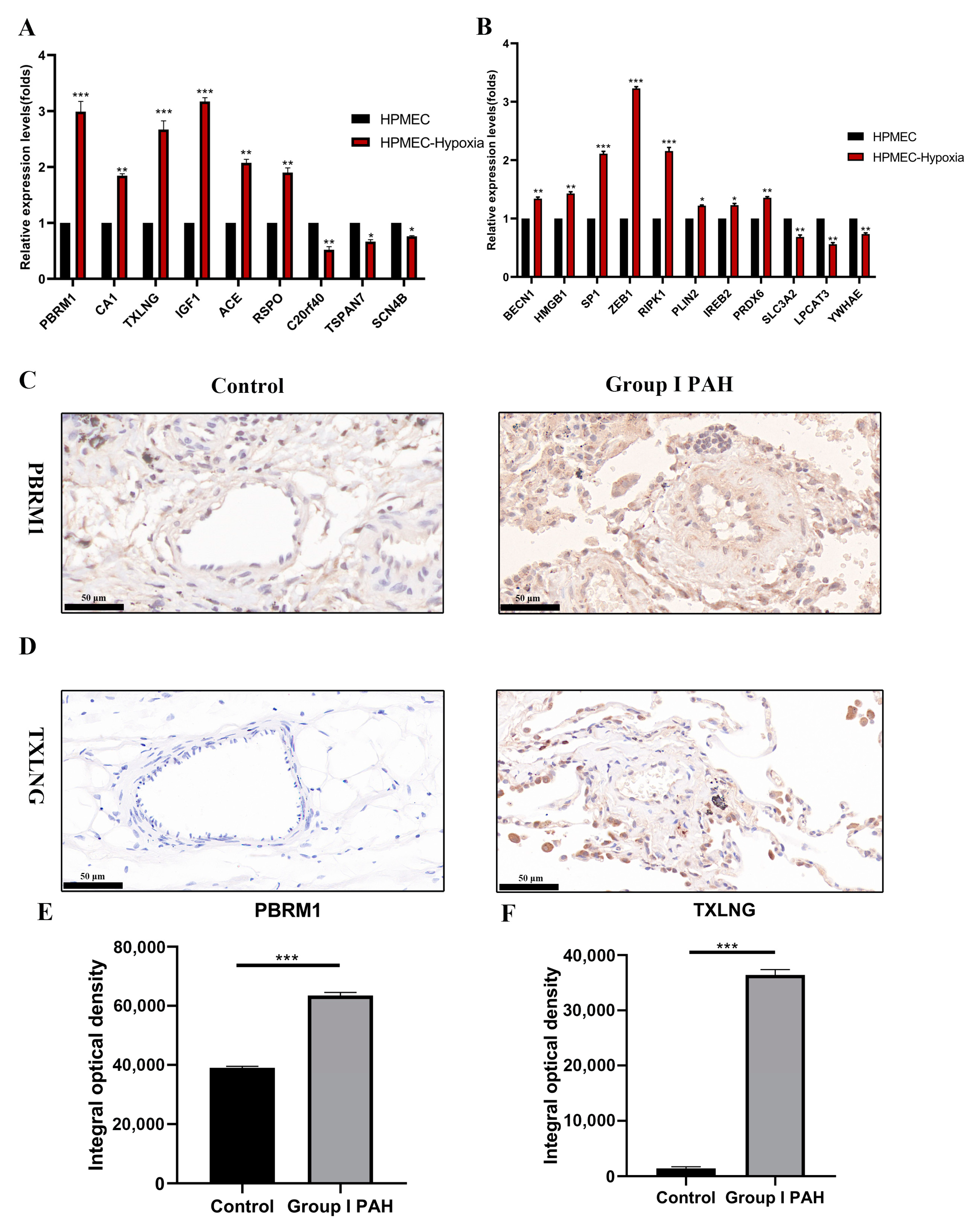 Ijms 24 08050 g008 Ijms 24 08050 g008