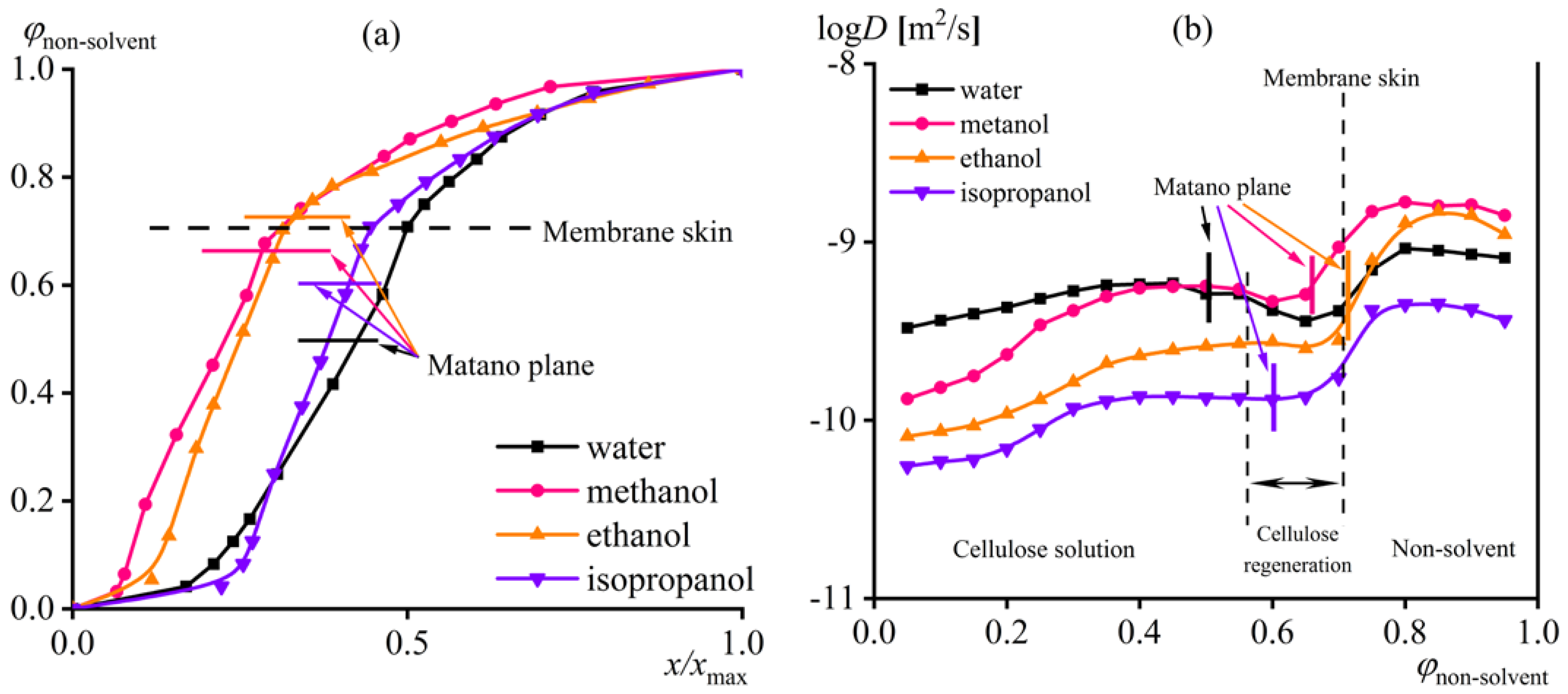 Ijms 24 08057 g011 Ijms 24 08057 g011