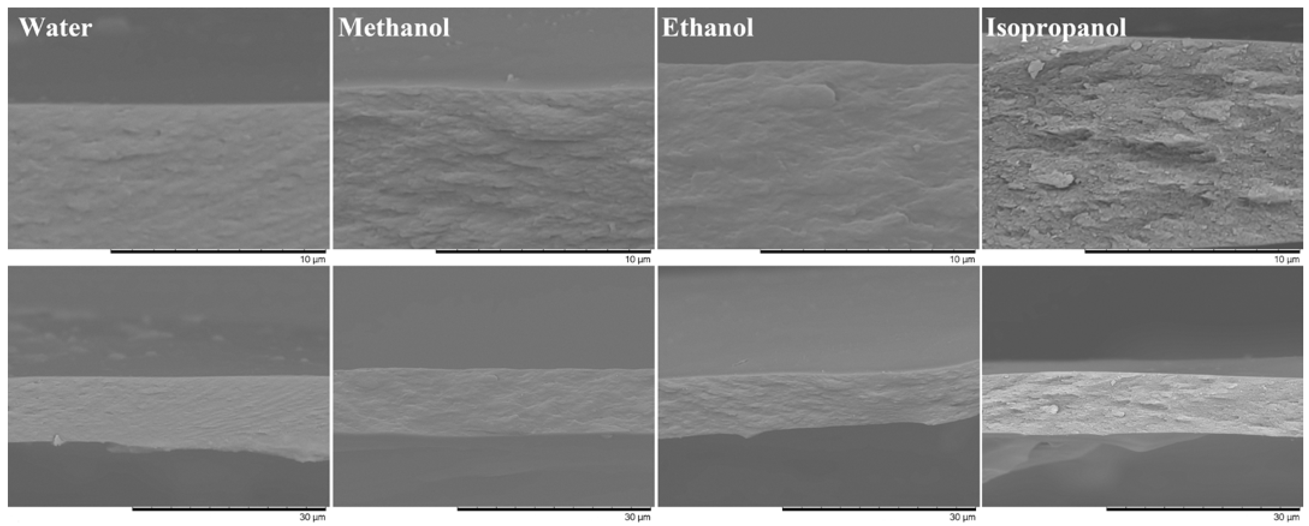 Ijms 24 08057 g012 Ijms 24 08057 g012