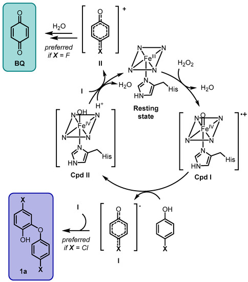 Selective Oxidation of Halophenols Catalyzed by an Selective Oxidation of Halophenols Catalyzed by an