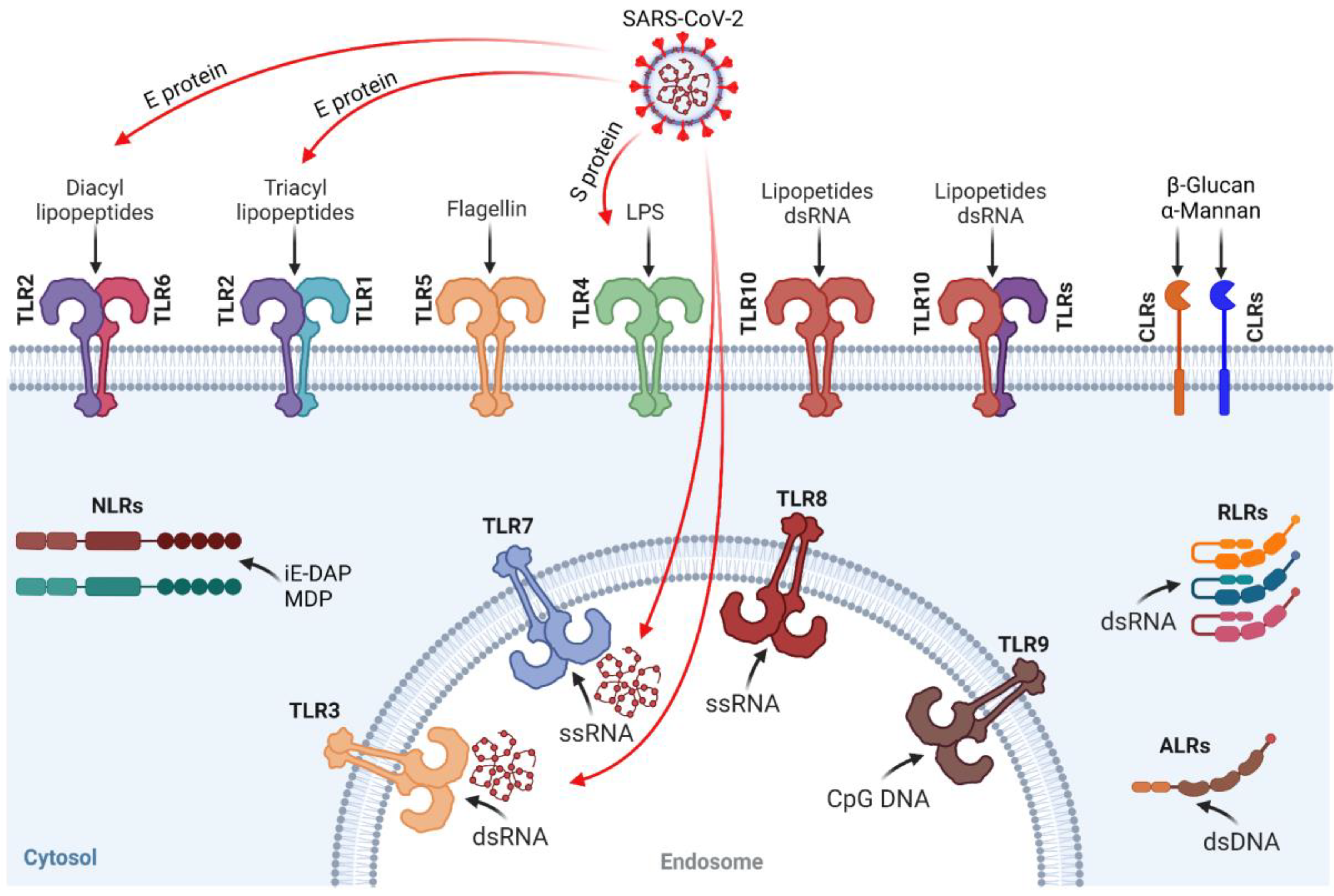 Integrated and dual-responsive lipopeptide nanovector with