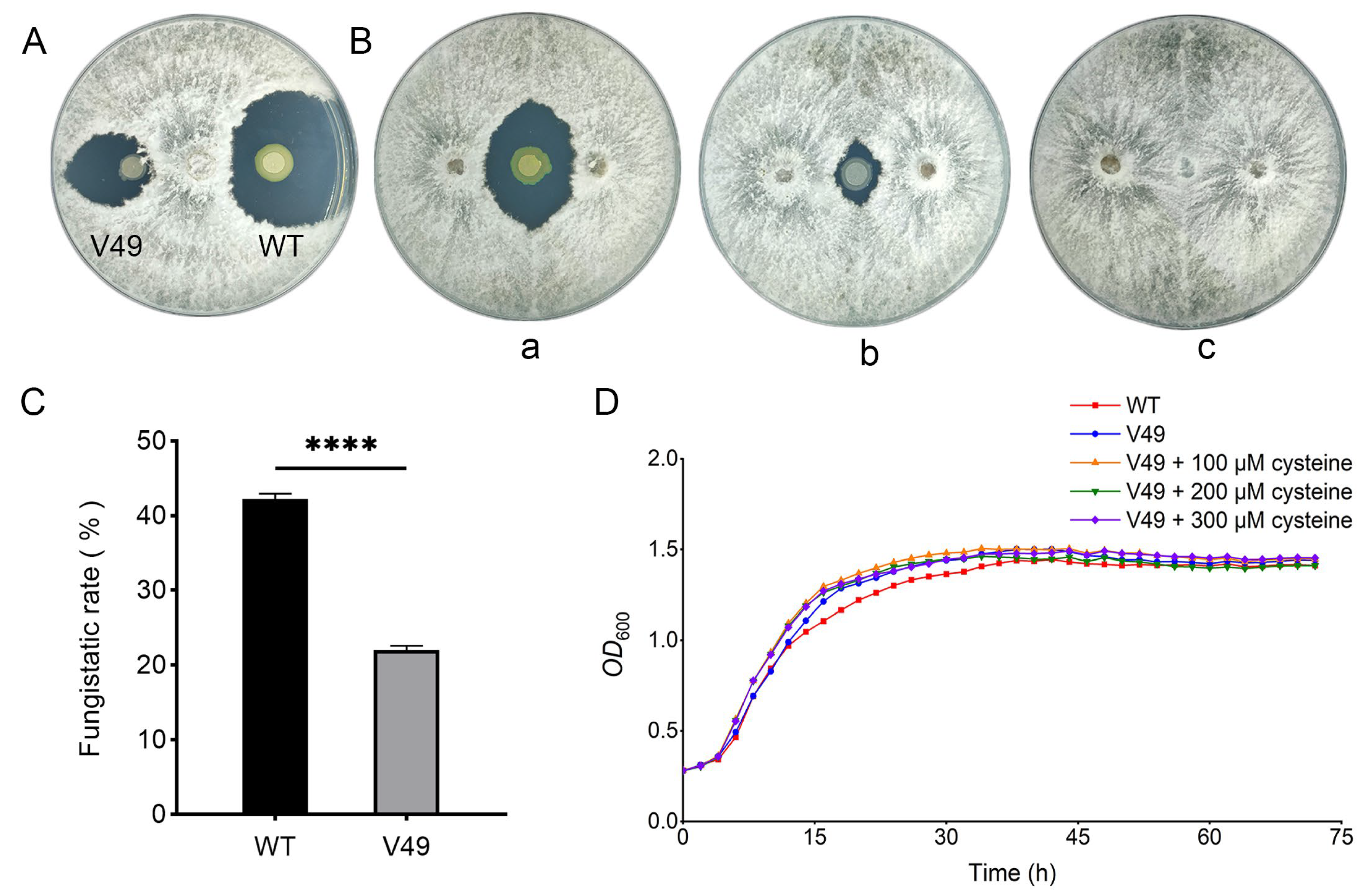 Ijms 24 08067 g001 Ijms 24 08067 g001
