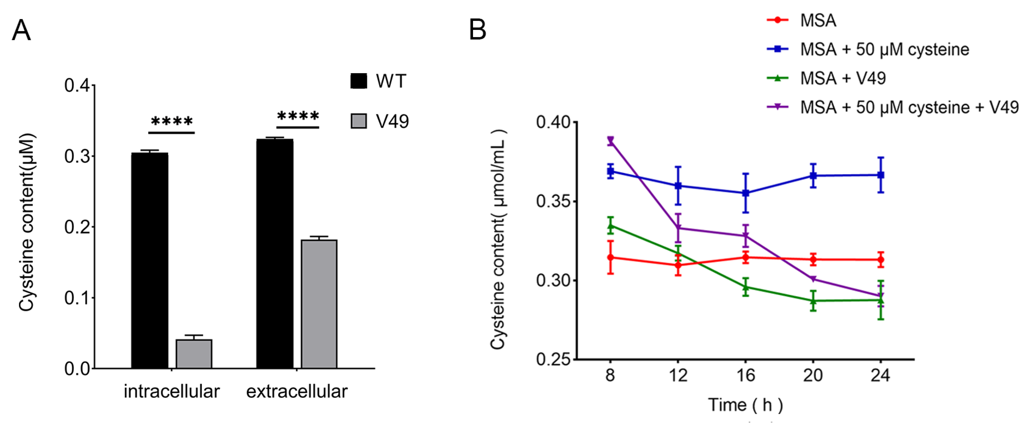 Ijms 24 08067 g003 Ijms 24 08067 g003