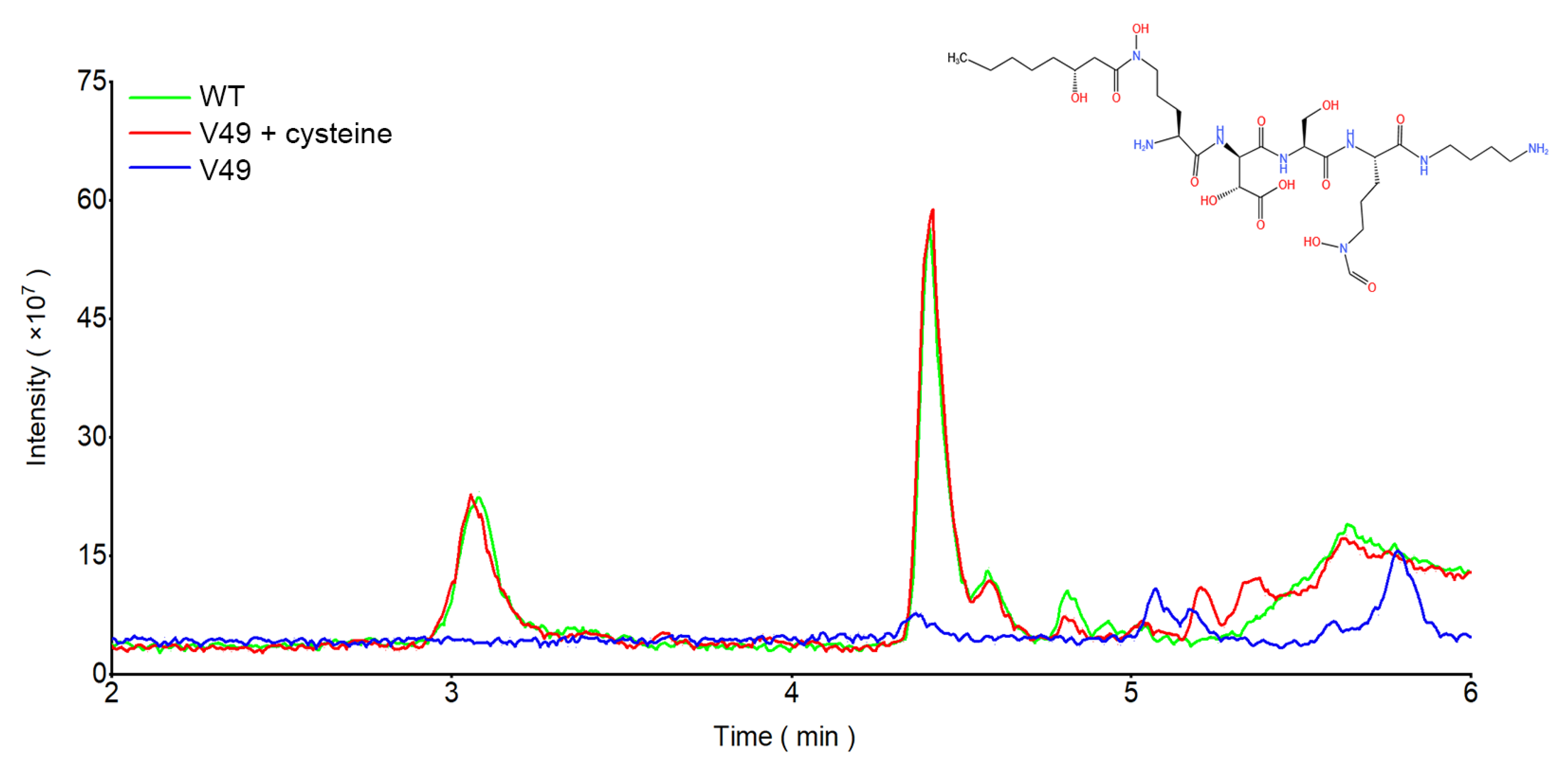 Ijms 24 08067 g005 Ijms 24 08067 g005