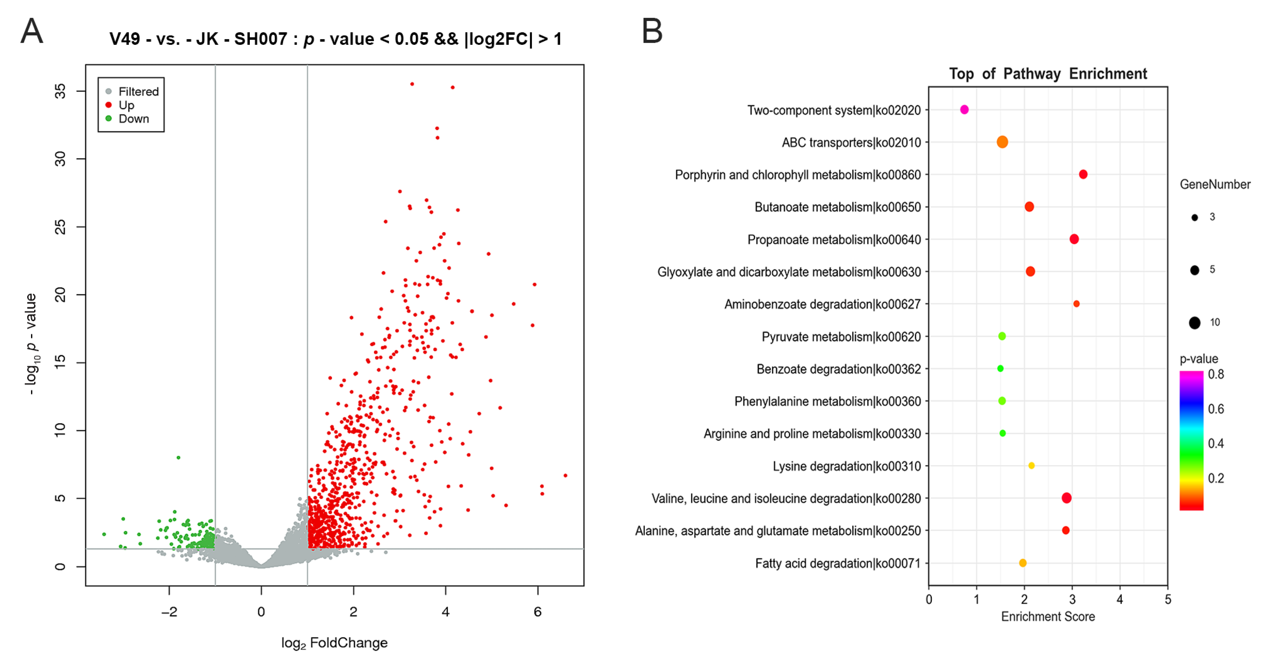 Ijms 24 08067 g007 Ijms 24 08067 g007
