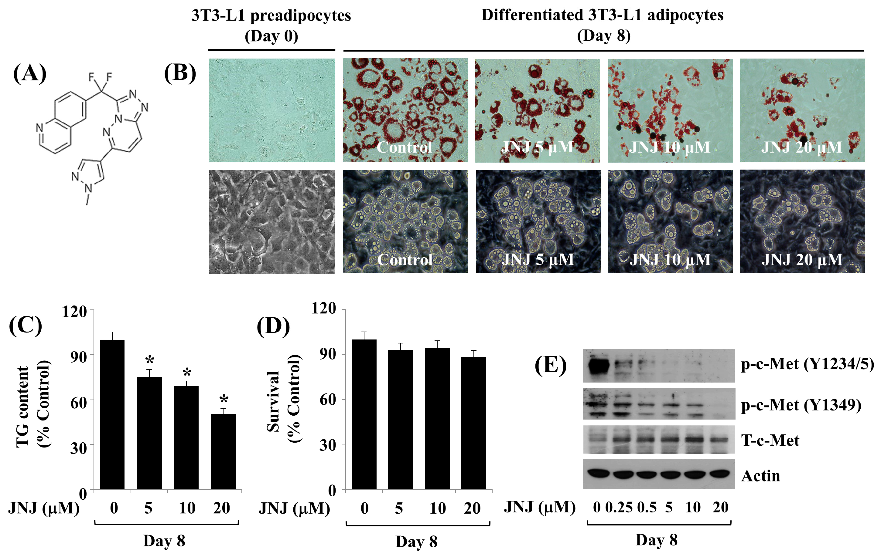 Ijms 24 08086 g002 Ijms 24 08086 g002