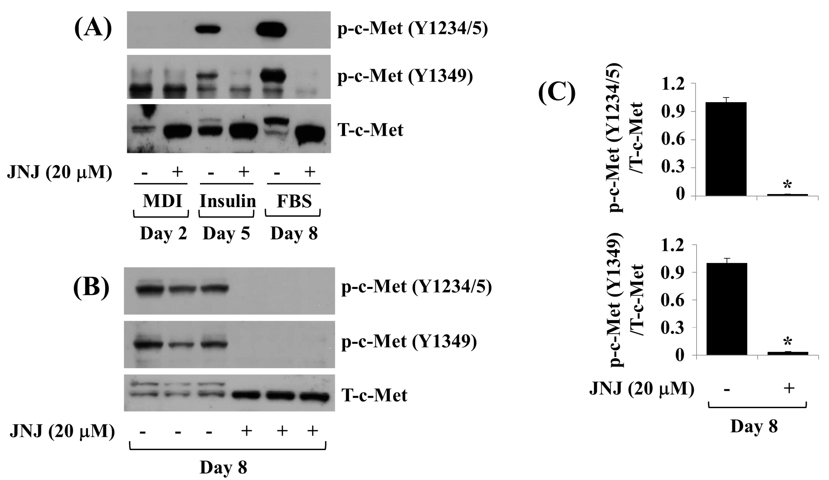 Ijms 24 08086 g003 Ijms 24 08086 g003