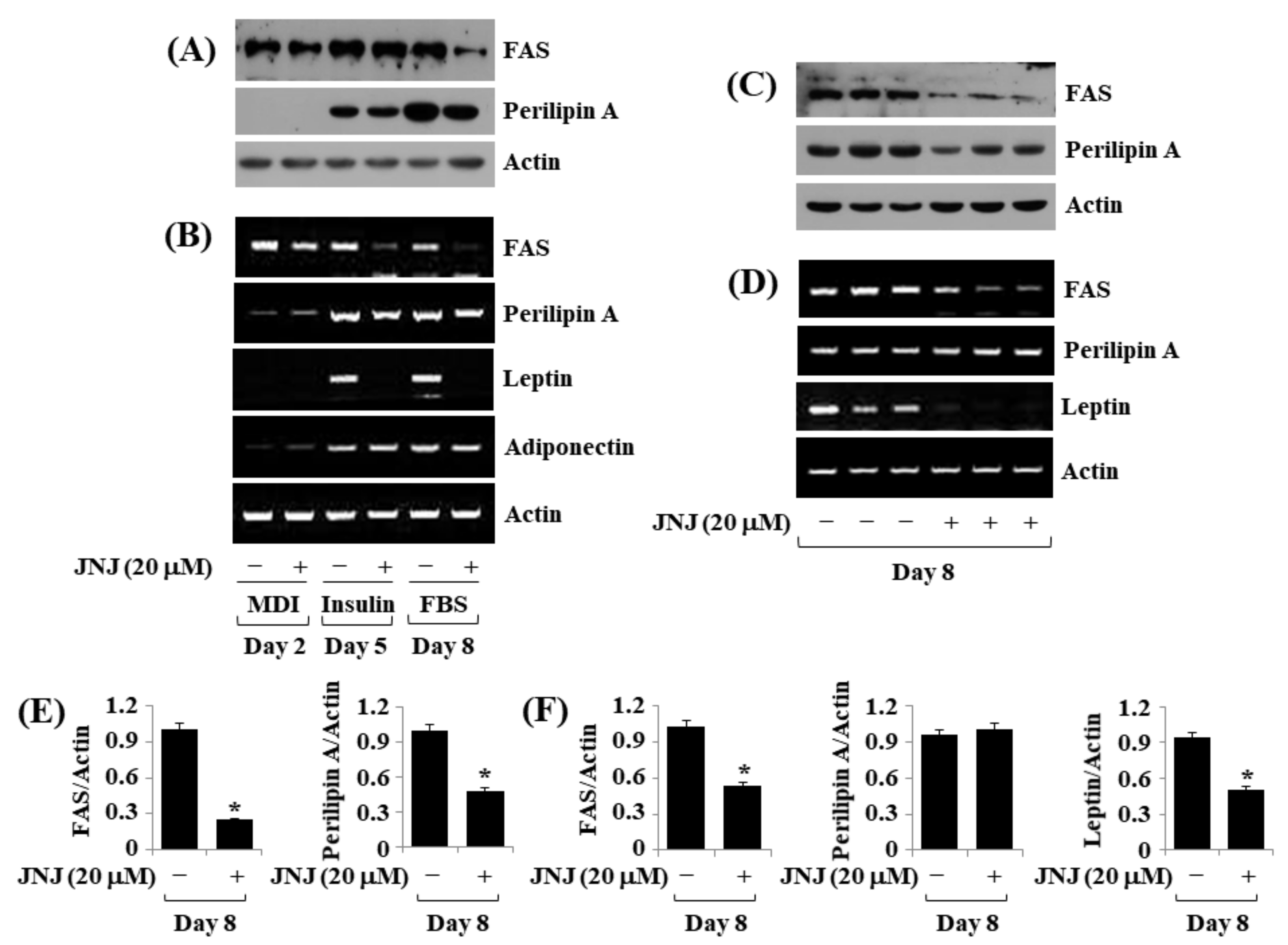 Ijms 24 08086 g005 Ijms 24 08086 g005