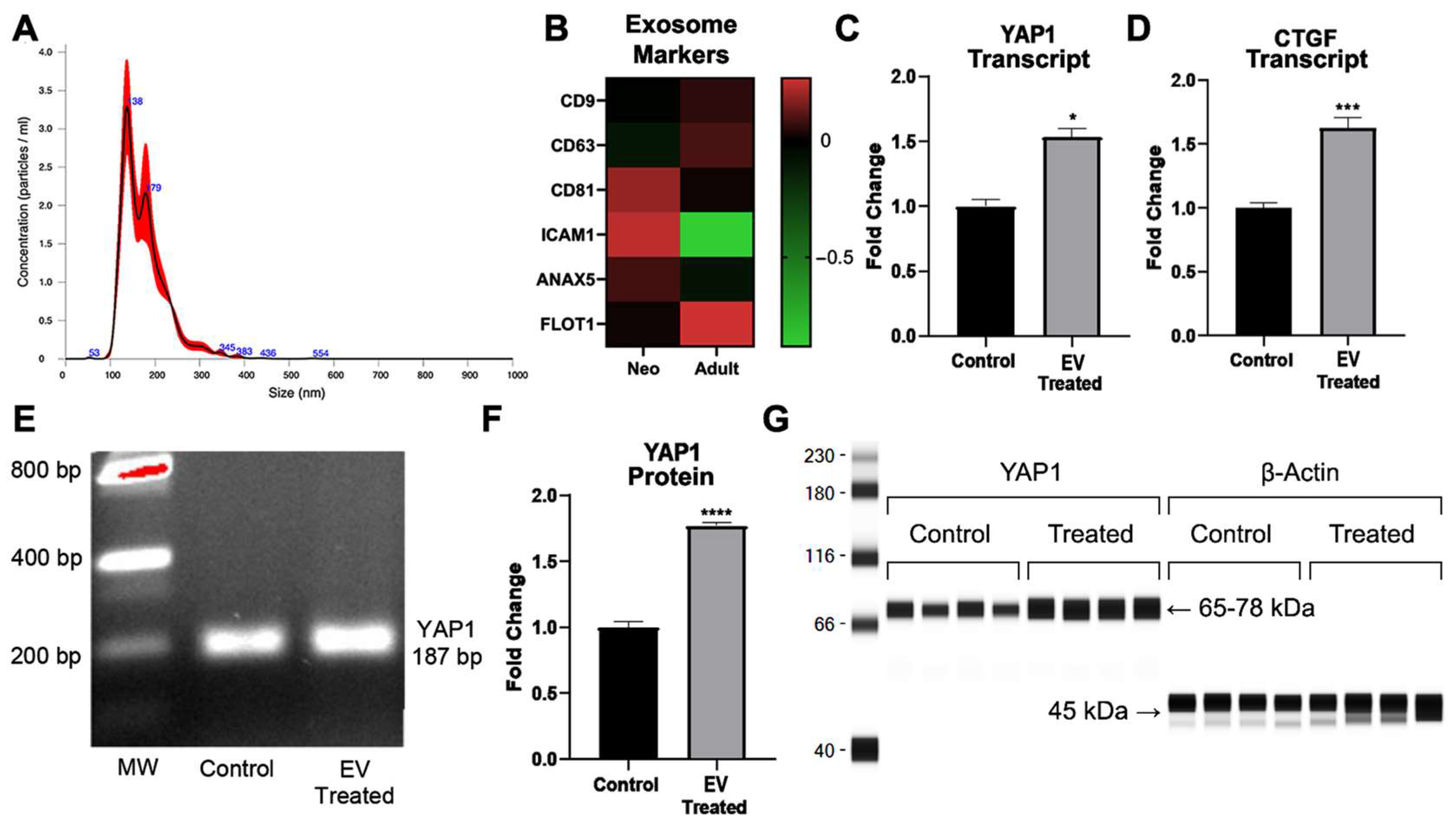 Ijms 24 08088 g003 Ijms 24 08088 g003