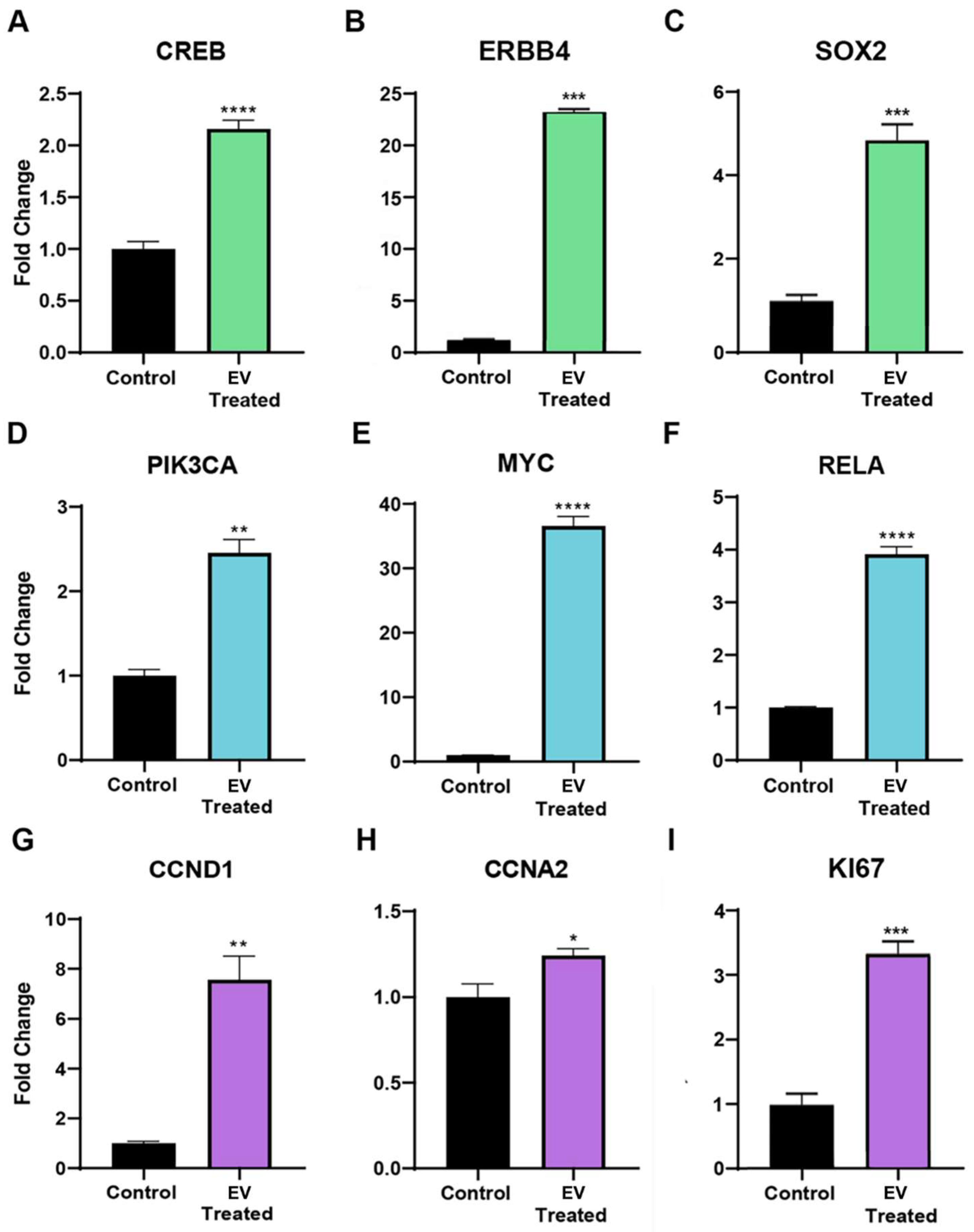 Ijms 24 08088 g004 Ijms 24 08088 g004