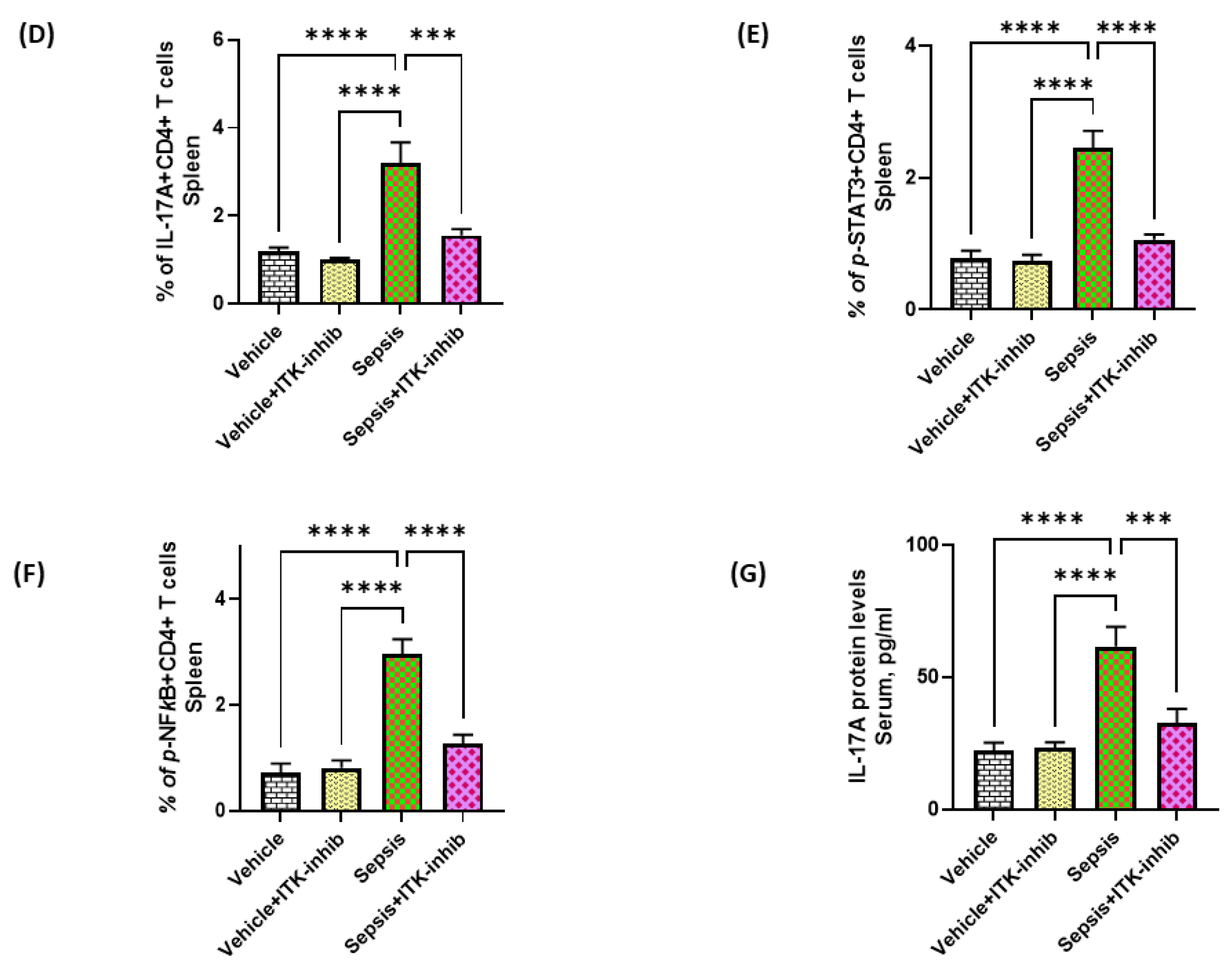 Ijms 24 08101 g002b Ijms 24 08101 g002b