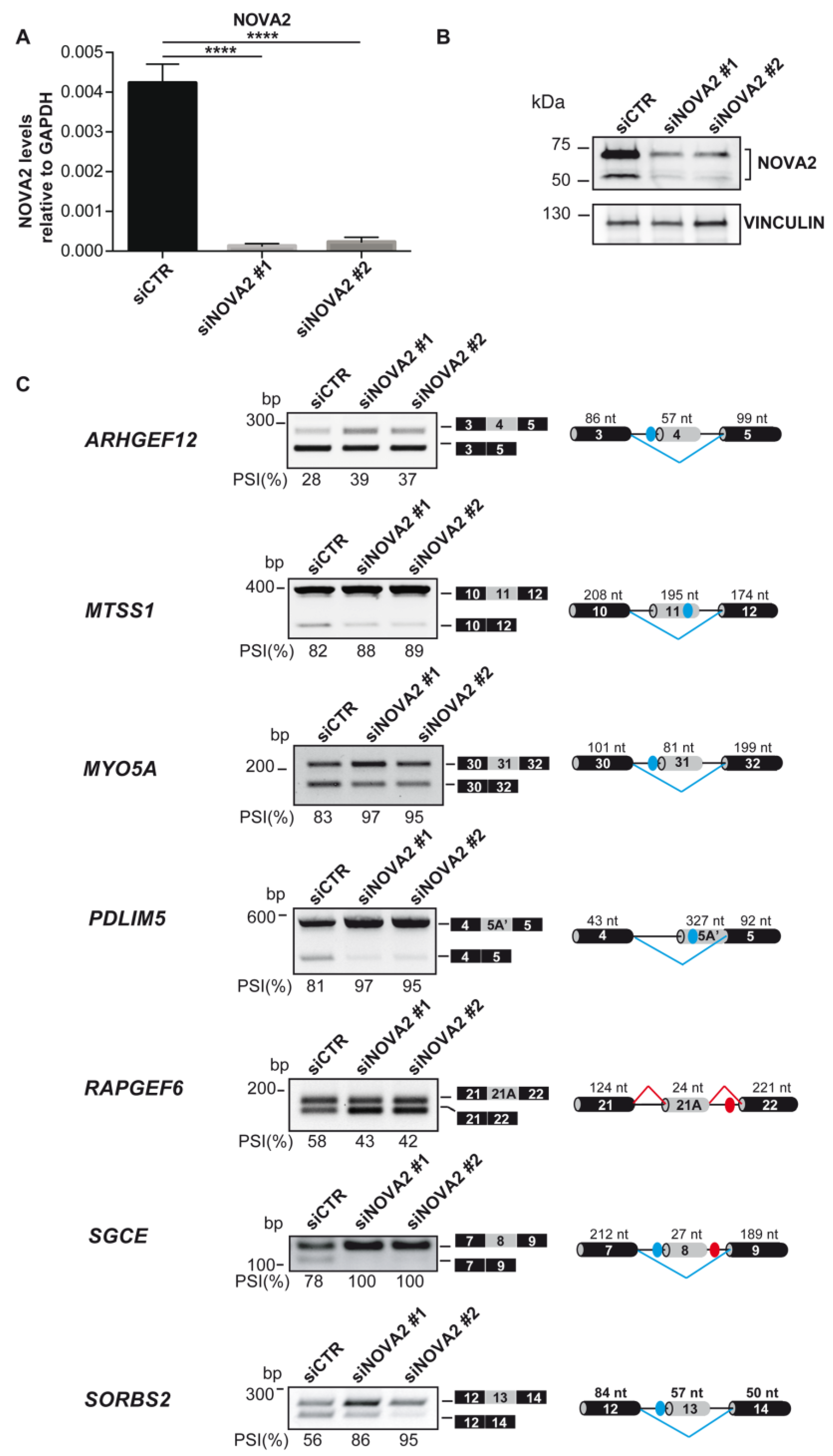 Ijms 24 08102 g002 Ijms 24 08102 g002