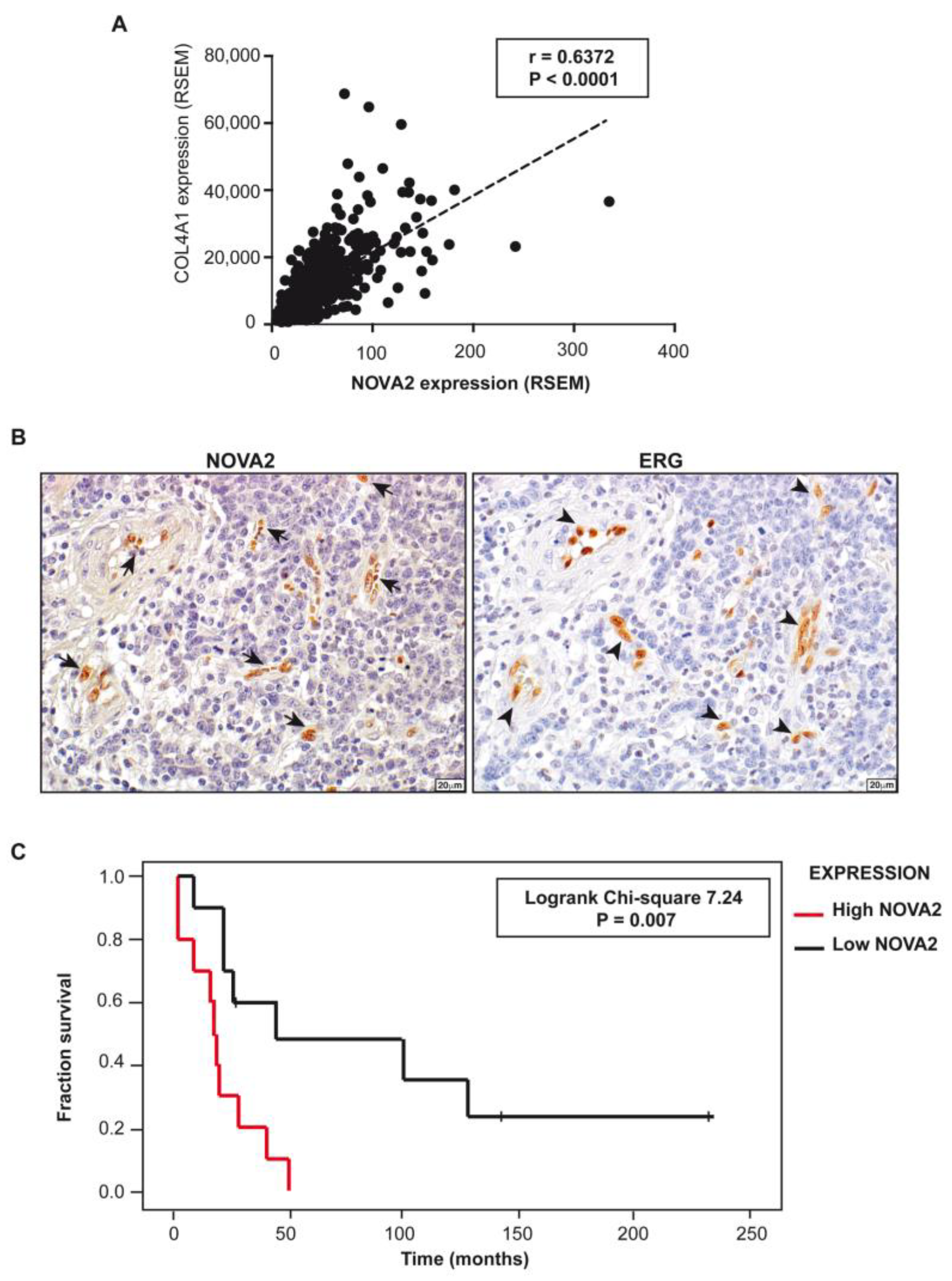 Ijms 24 08102 g004 Ijms 24 08102 g004