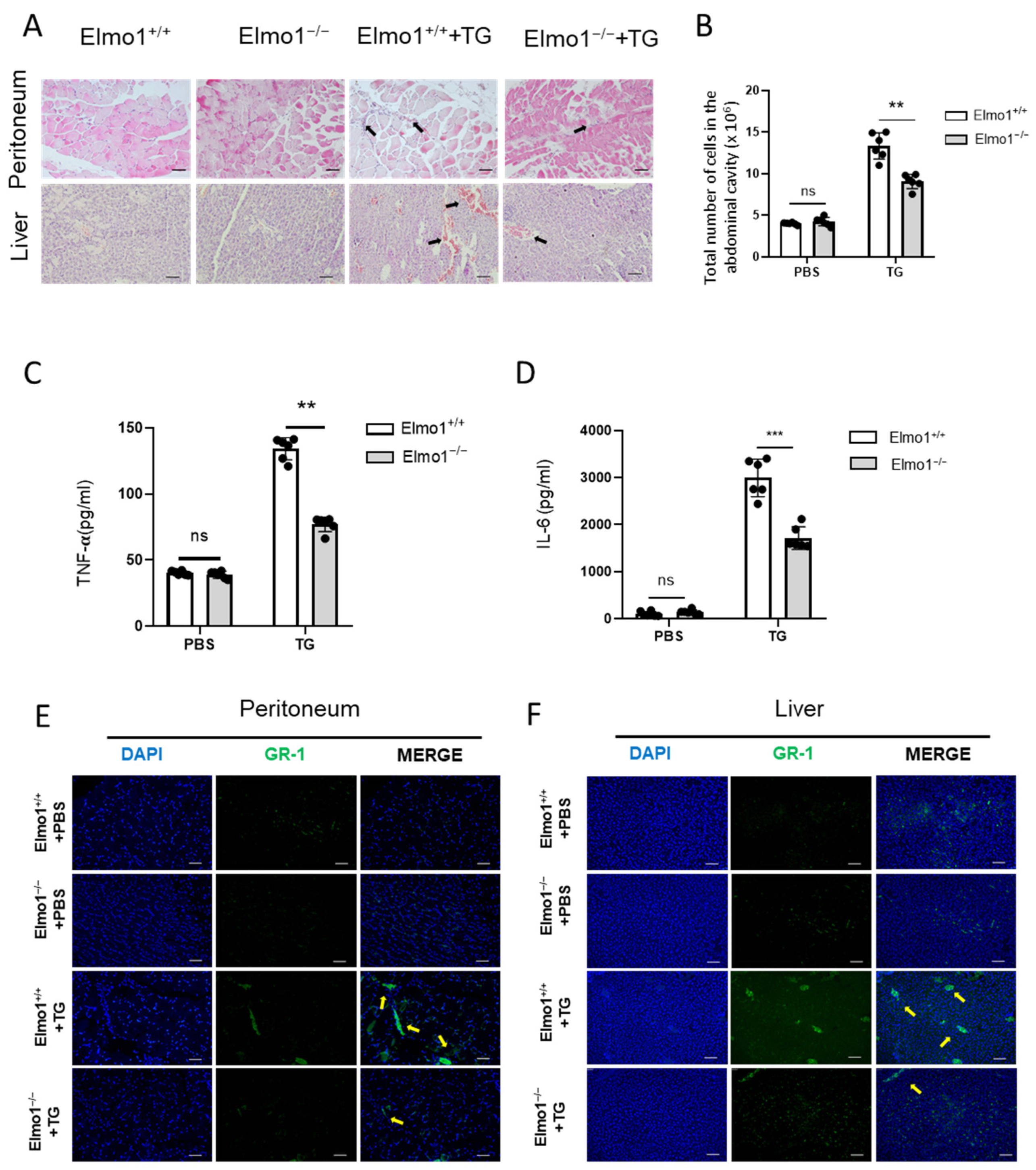 Ijms 24 08103 g001 Ijms 24 08103 g001