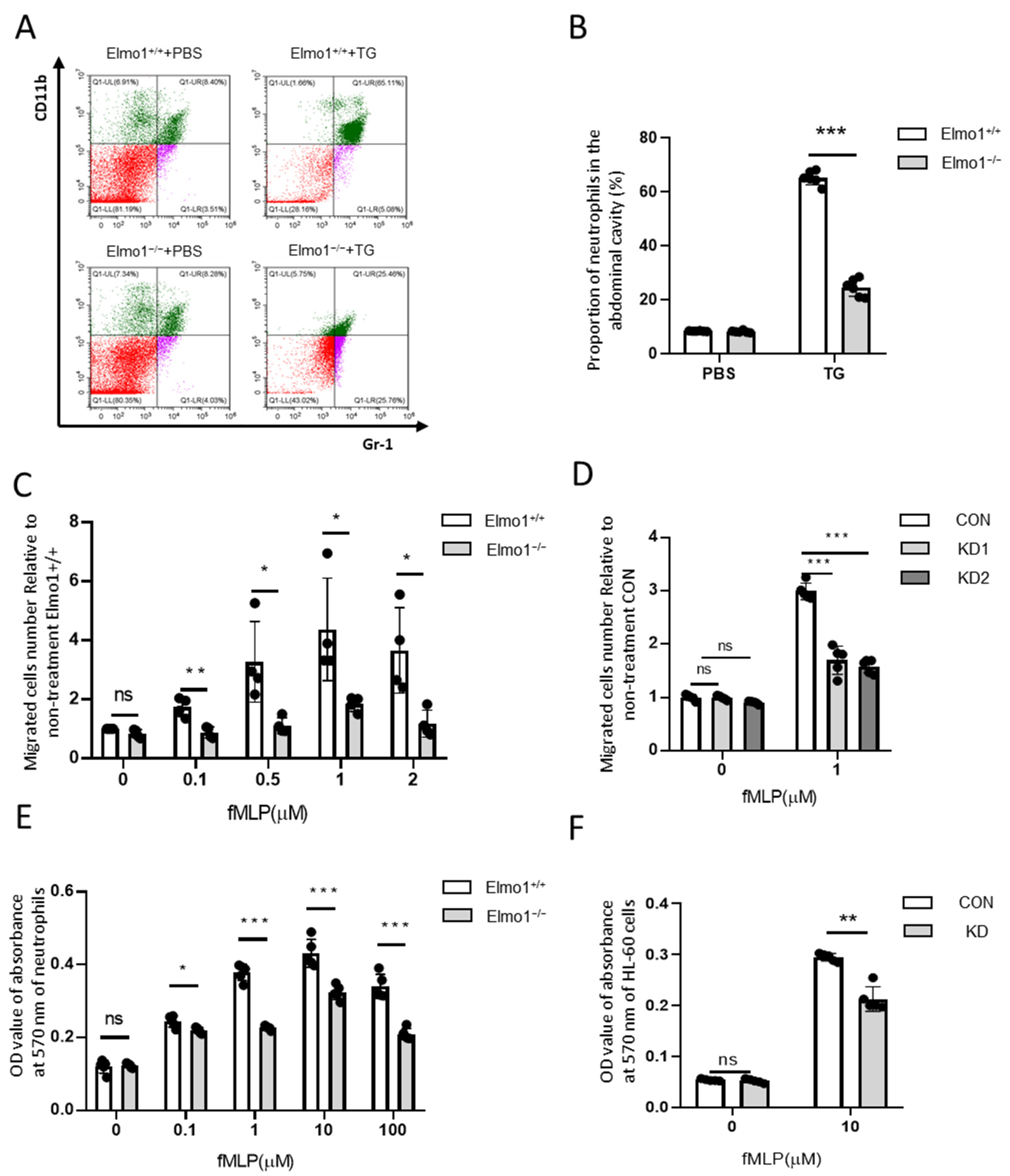 Ijms 24 08103 g002 Ijms 24 08103 g002