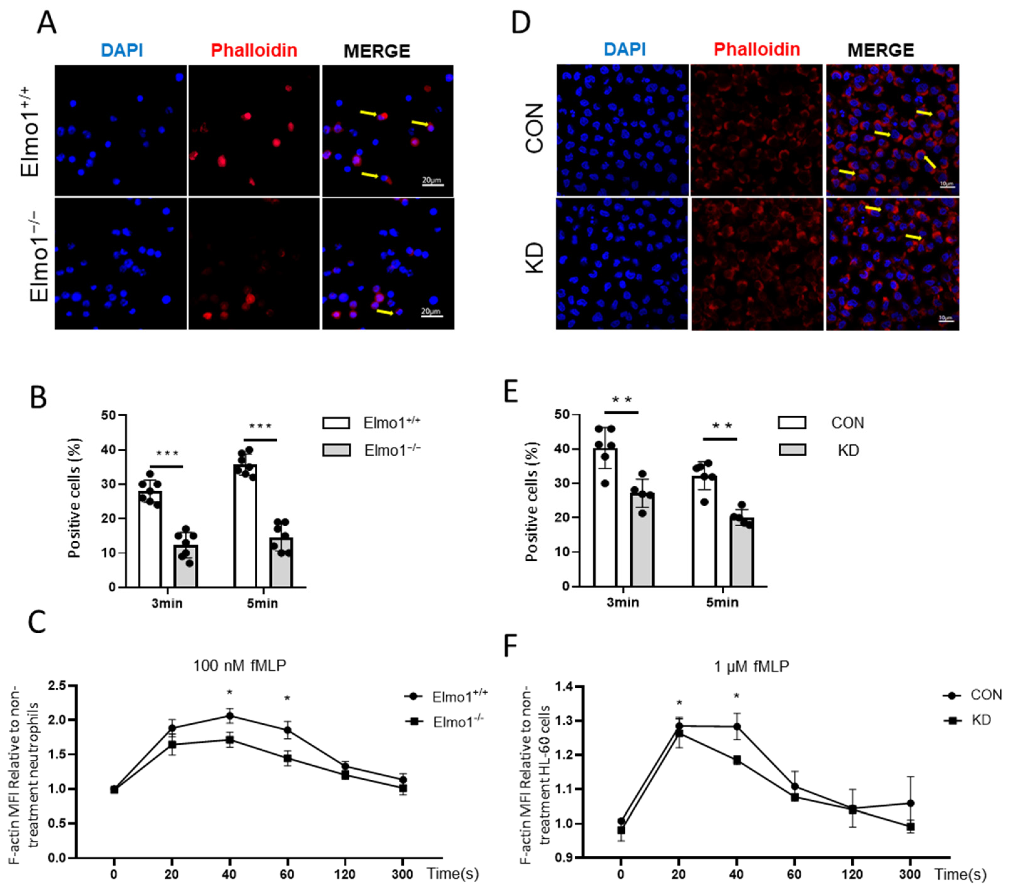 Ijms 24 08103 g003 Ijms 24 08103 g003