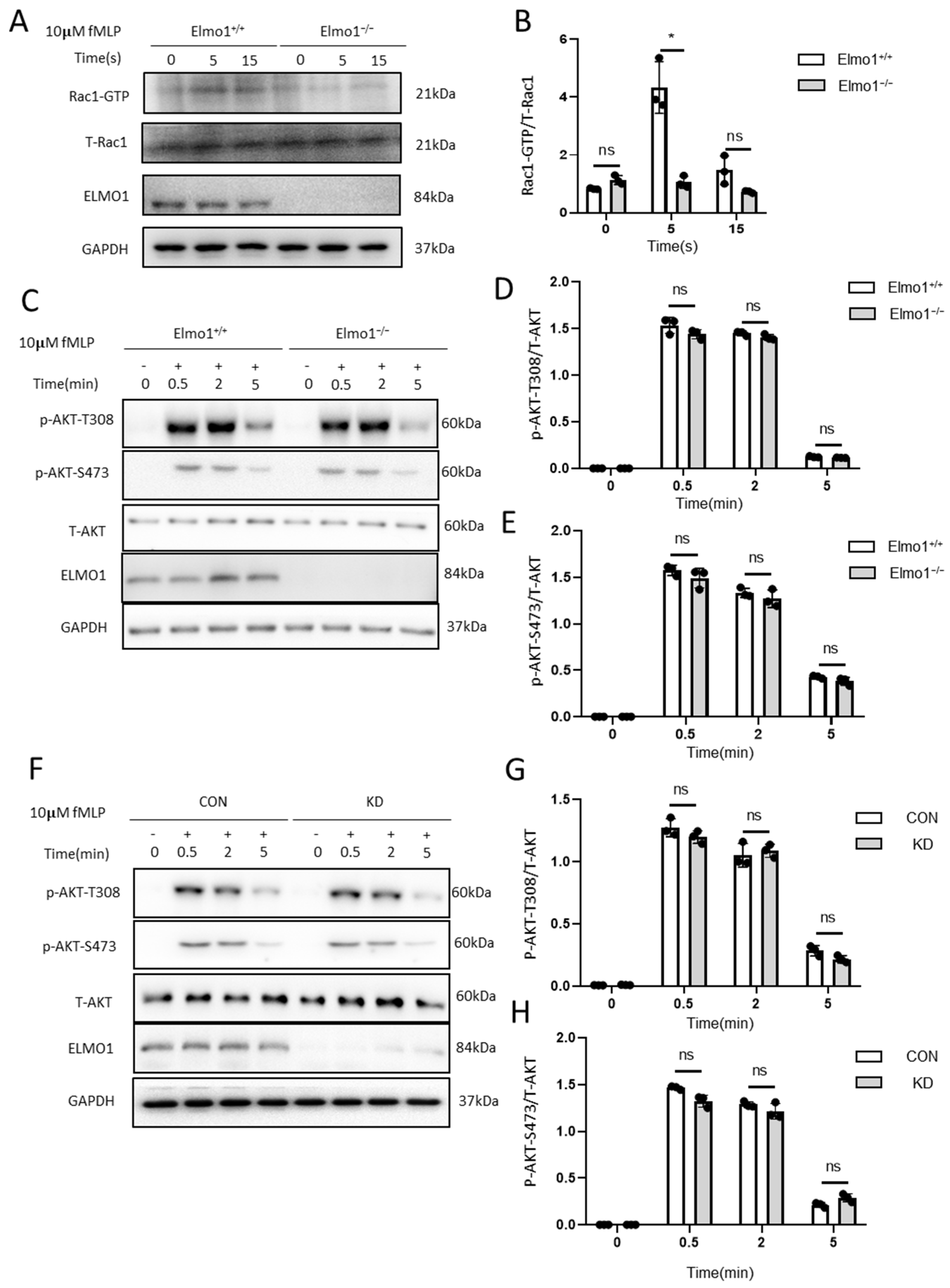 Ijms 24 08103 g004 Ijms 24 08103 g004