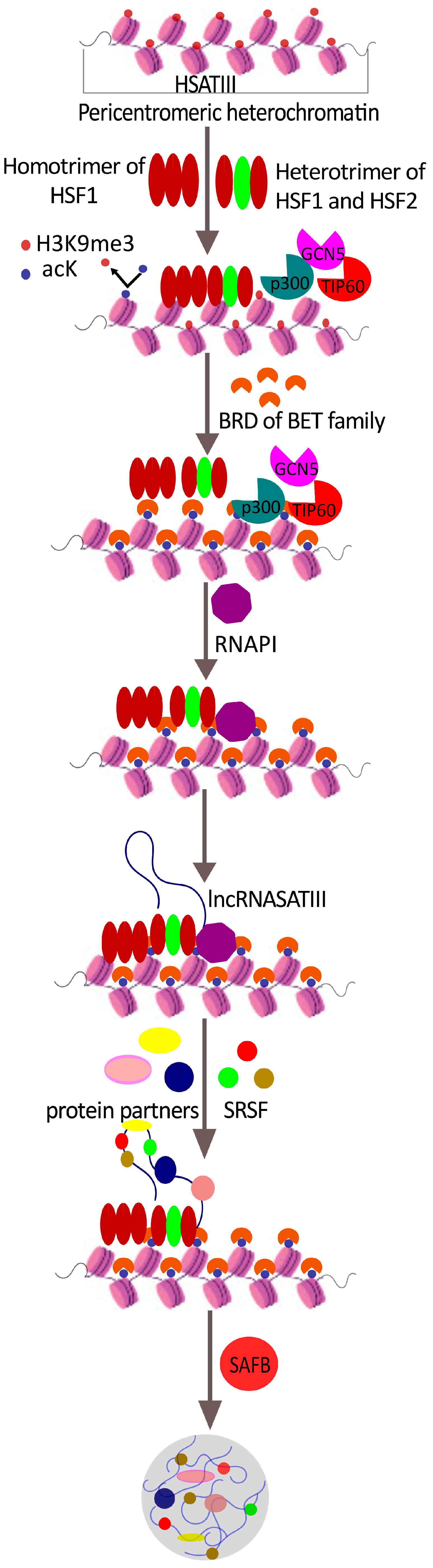 Ijms 24 08108 g001 Ijms 24 08108 g001