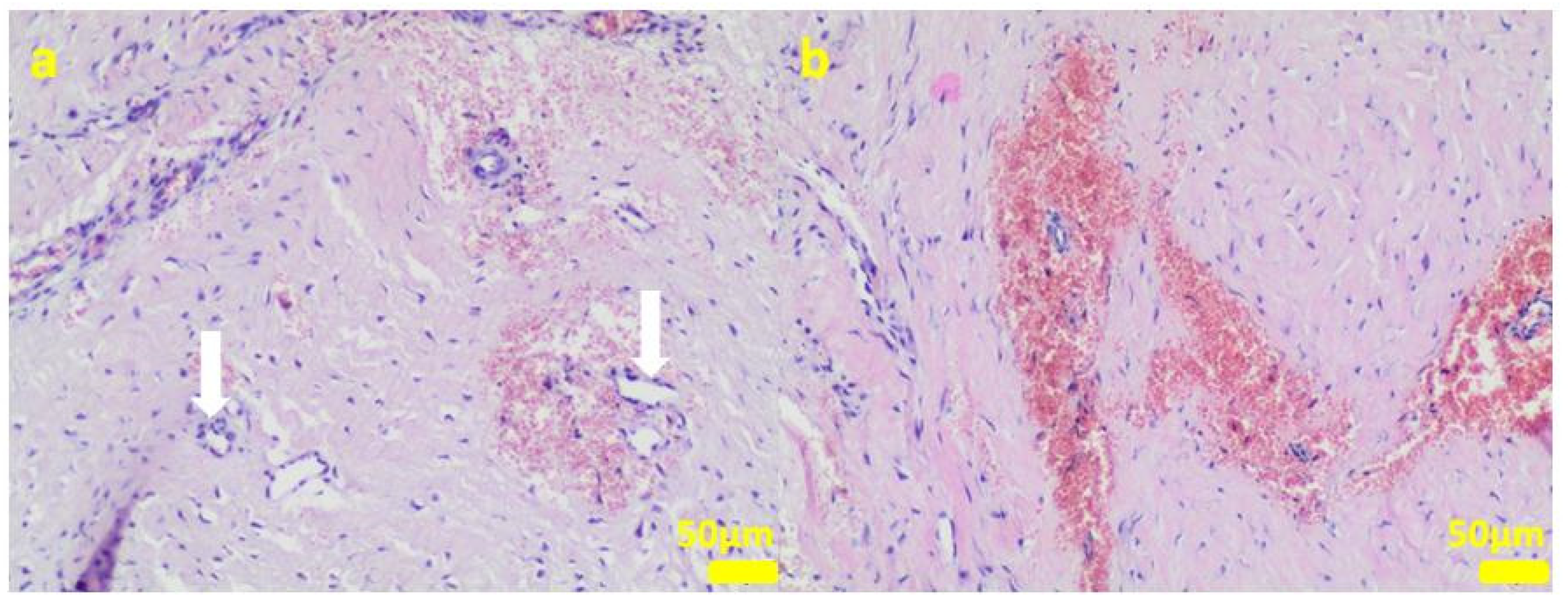 Ijms 24 08114 g009 Ijms 24 08114 g009