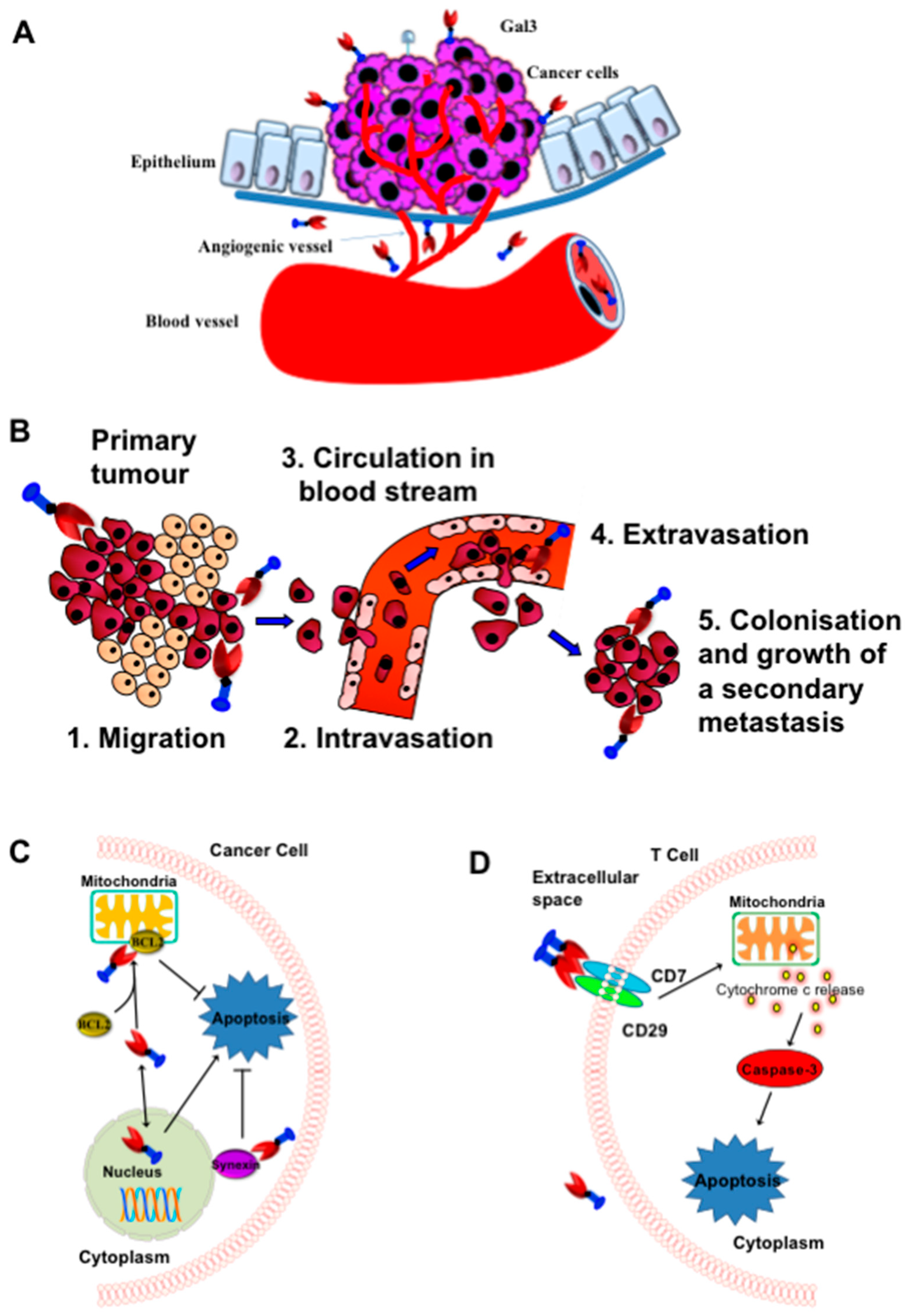 Ijms 24 08116 g004 Ijms 24 08116 g004