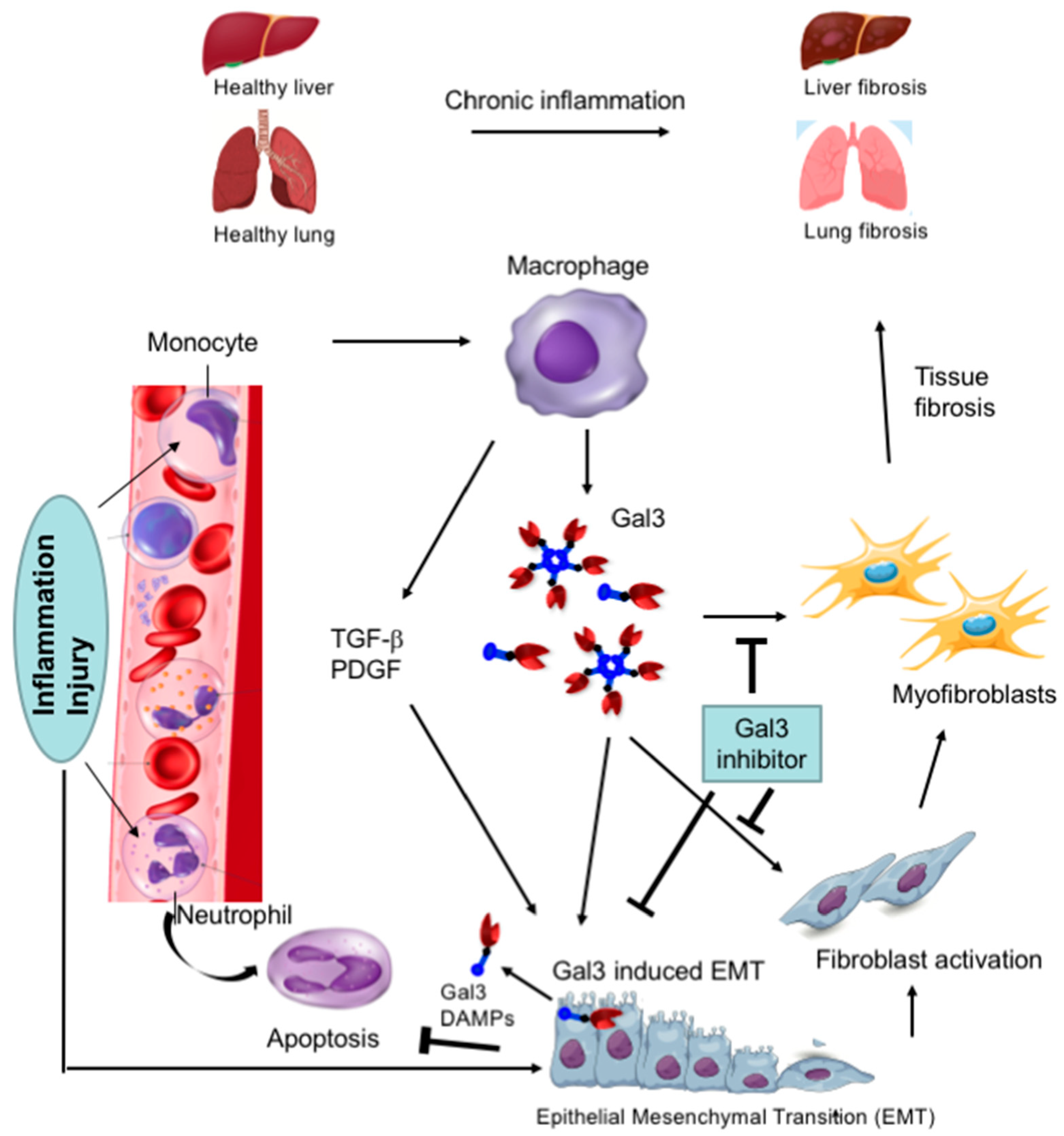 Ijms 24 08116 g005 Ijms 24 08116 g005