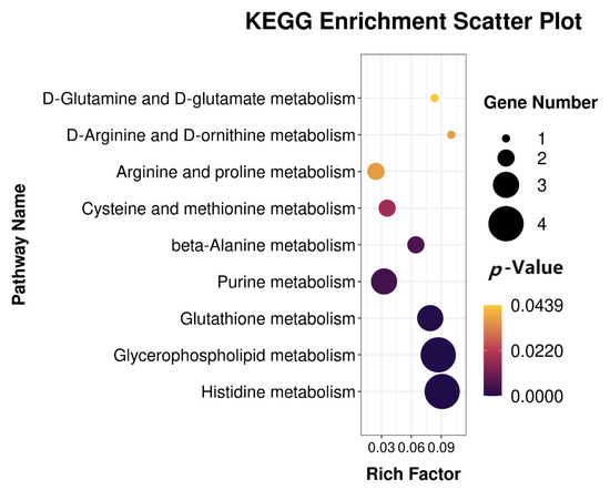 Combined Transcriptome and Metabolome Analysis of Smooth
