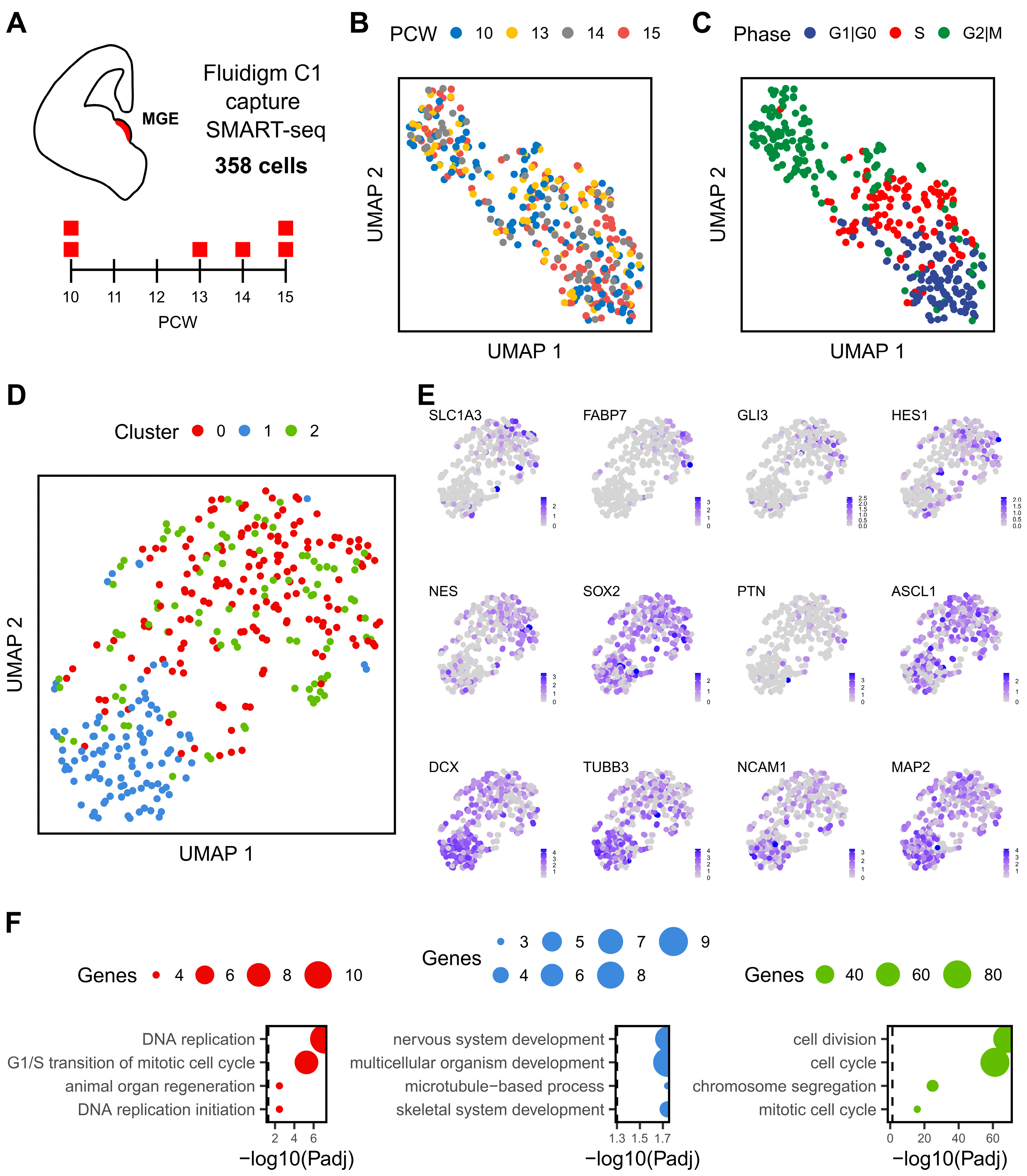 Ijms 24 08122 g001 Ijms 24 08122 g001