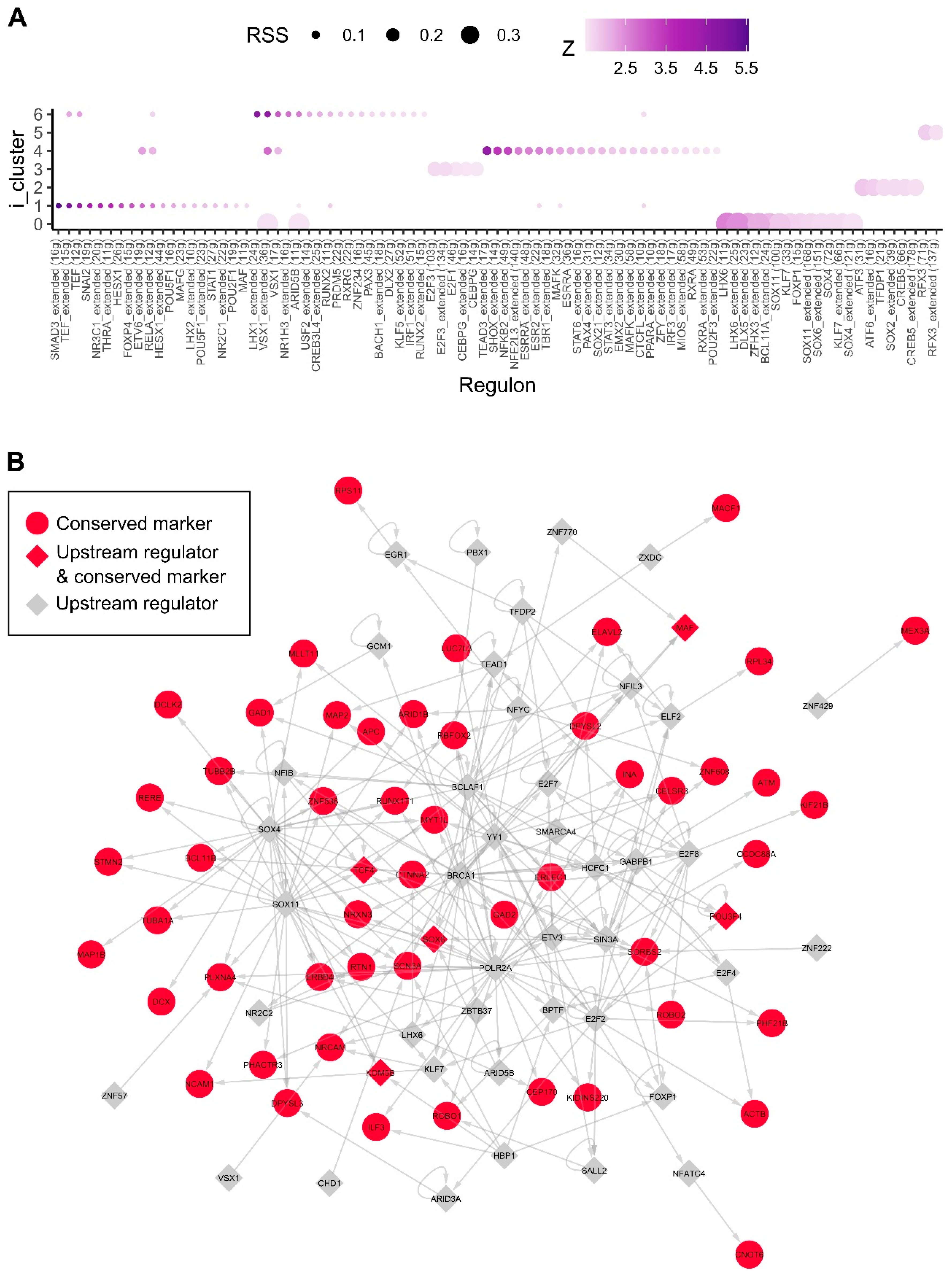 Ijms 24 08122 g004 Ijms 24 08122 g004
