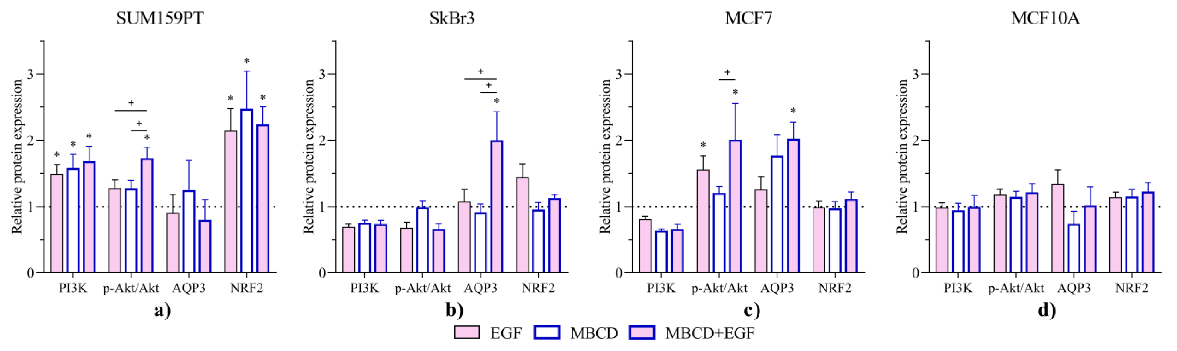 Ijms 24 08133 g006 Ijms 24 08133 g006
