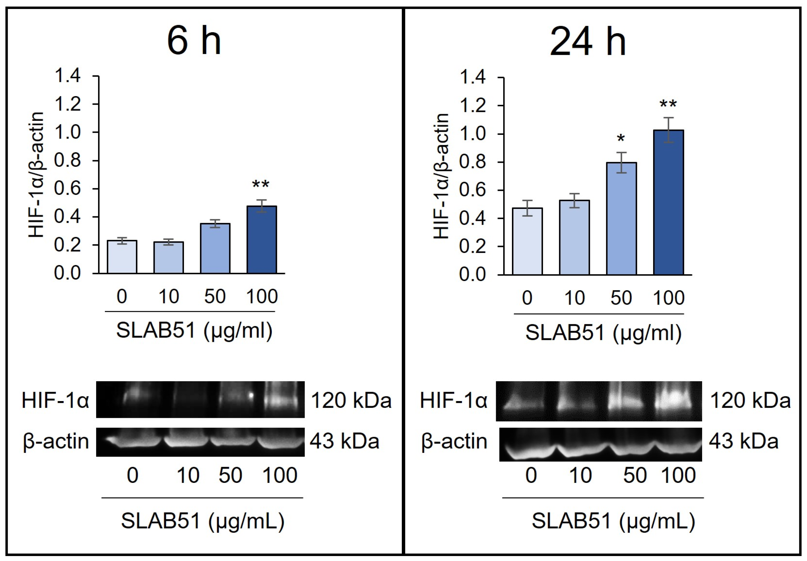 Ijms 24 08134 g001 Ijms 24 08134 g001