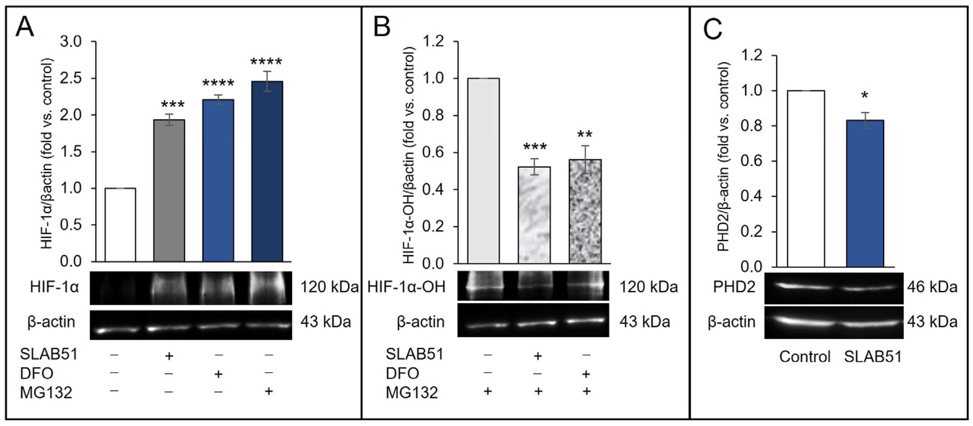 Ijms 24 08134 g002 Ijms 24 08134 g002