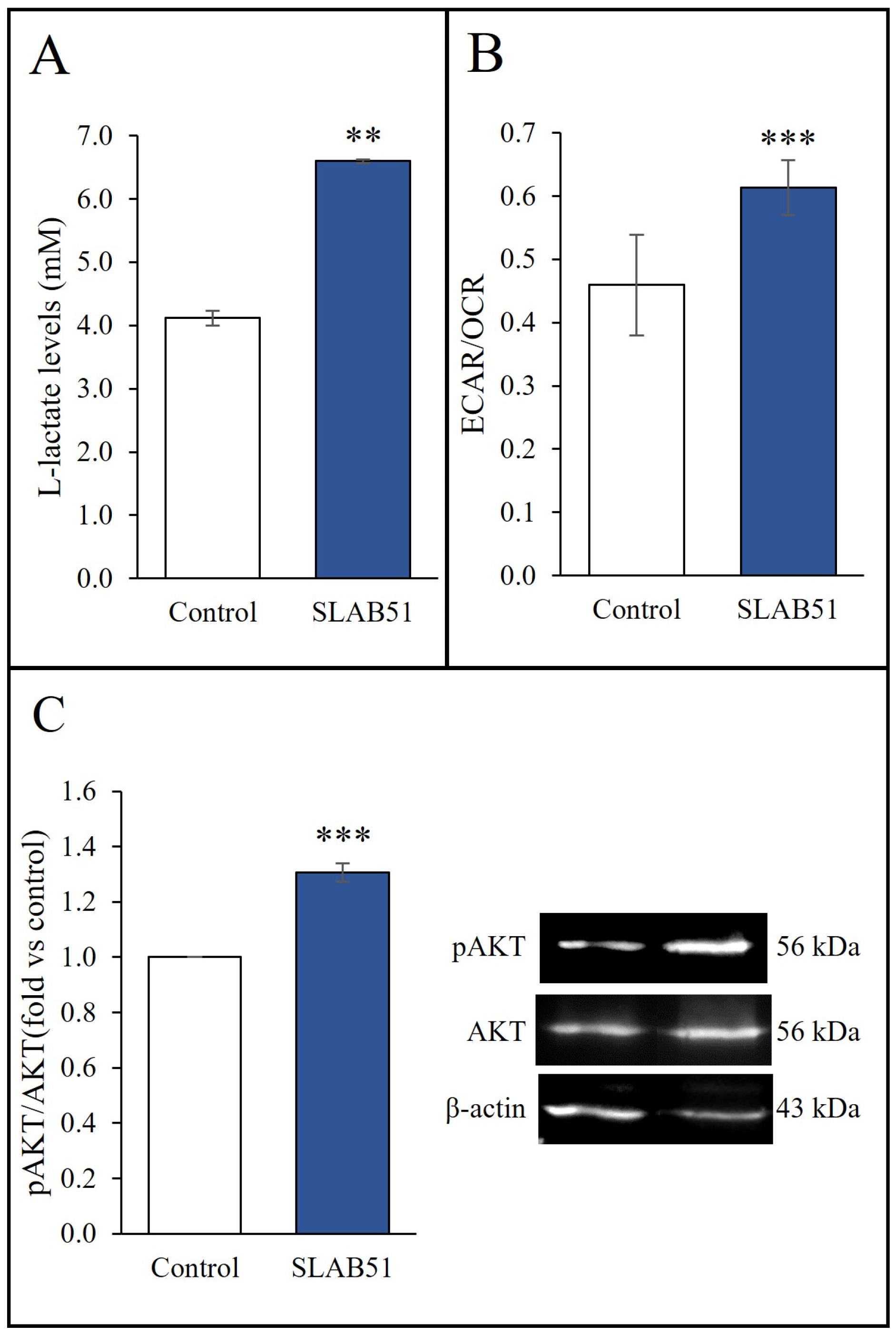 Ijms 24 08134 g003 Ijms 24 08134 g003