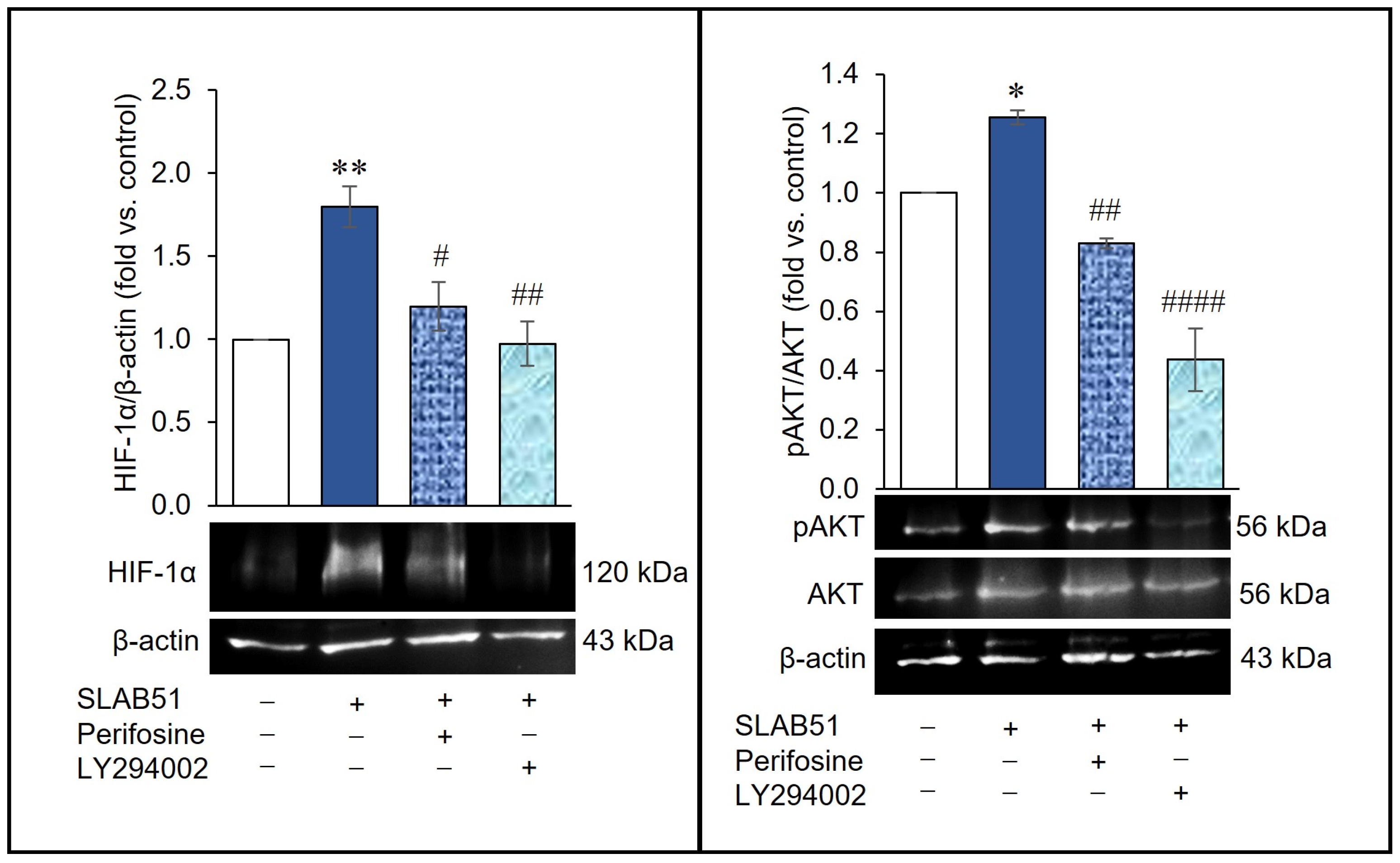 Ijms 24 08134 g004 Ijms 24 08134 g004