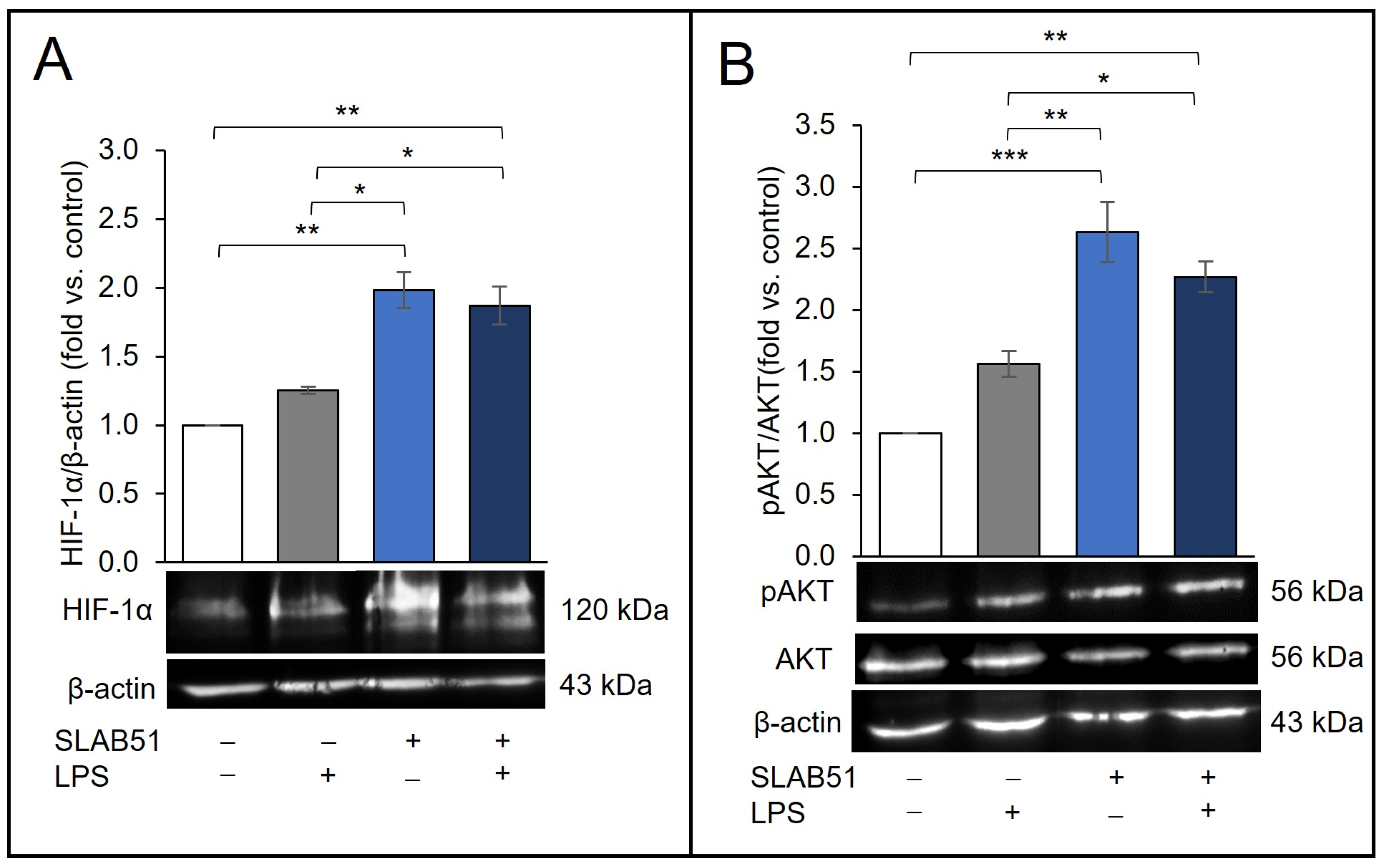 Ijms 24 08134 g005 Ijms 24 08134 g005
