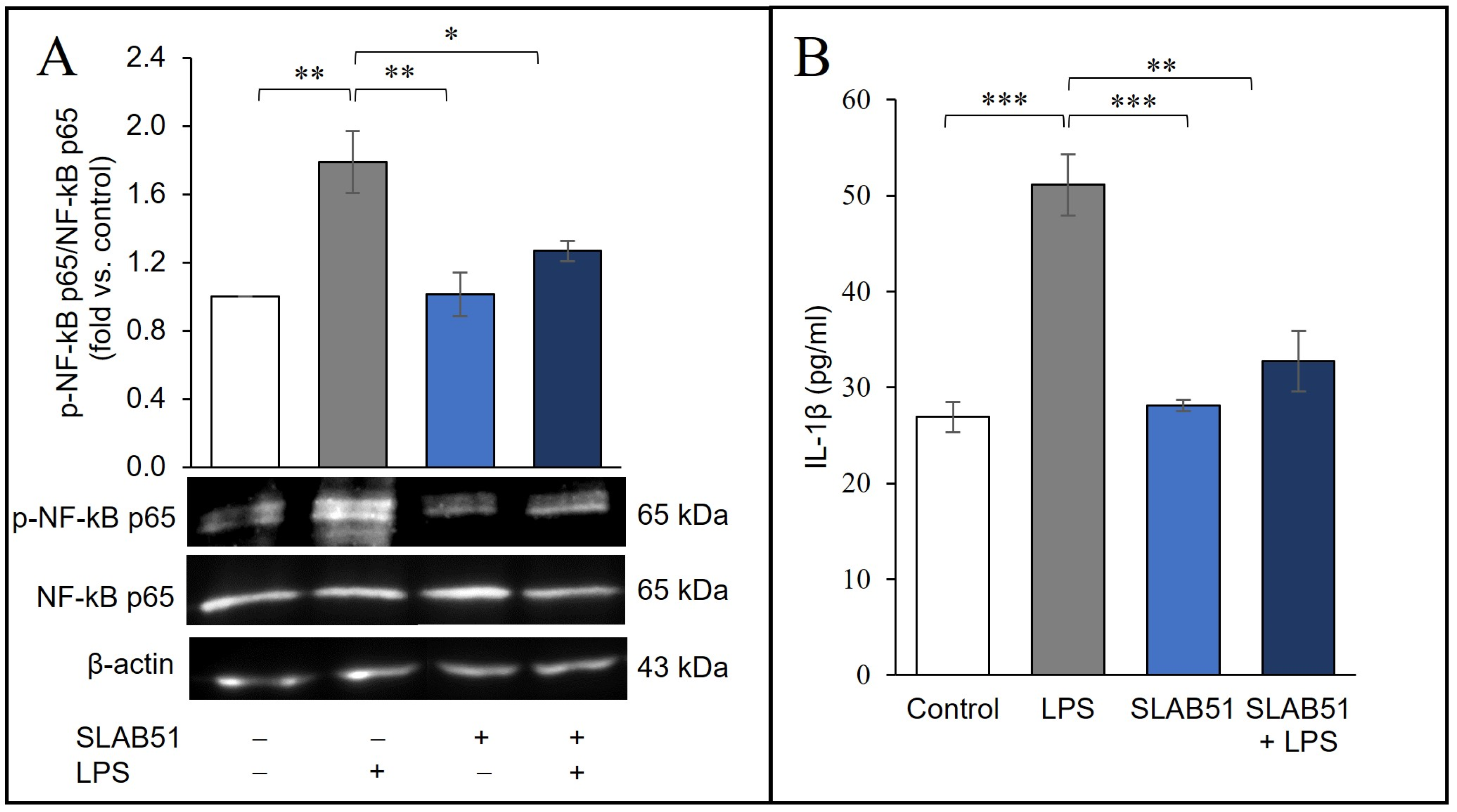 Ijms 24 08134 g006 Ijms 24 08134 g006