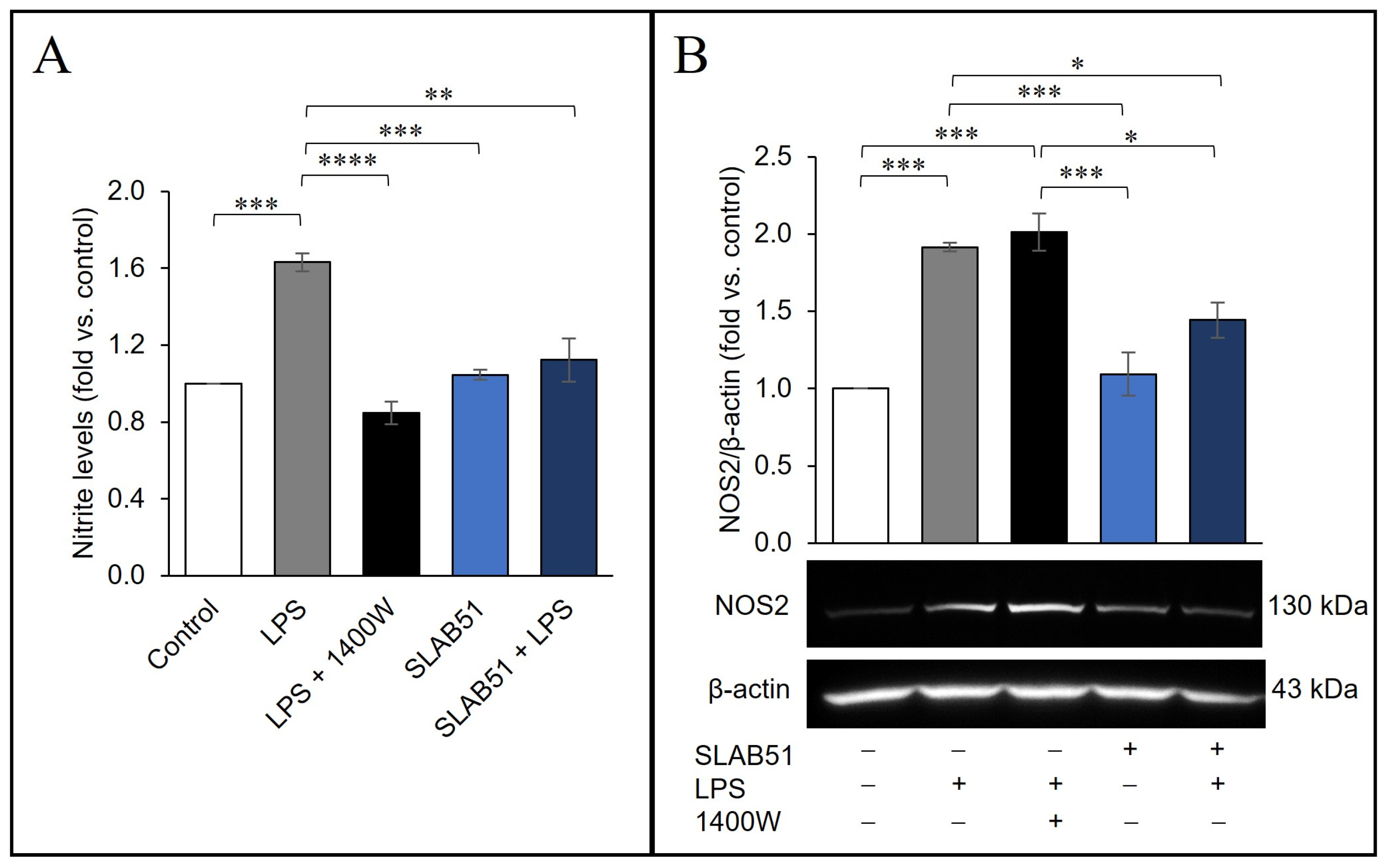 Ijms 24 08134 g007 Ijms 24 08134 g007