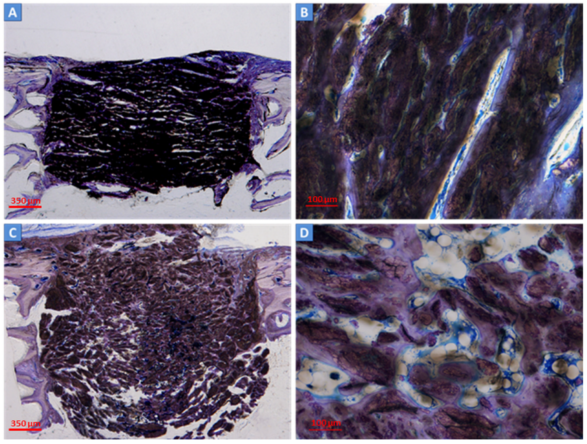 Ijms 24 08137 g003 Ijms 24 08137 g003