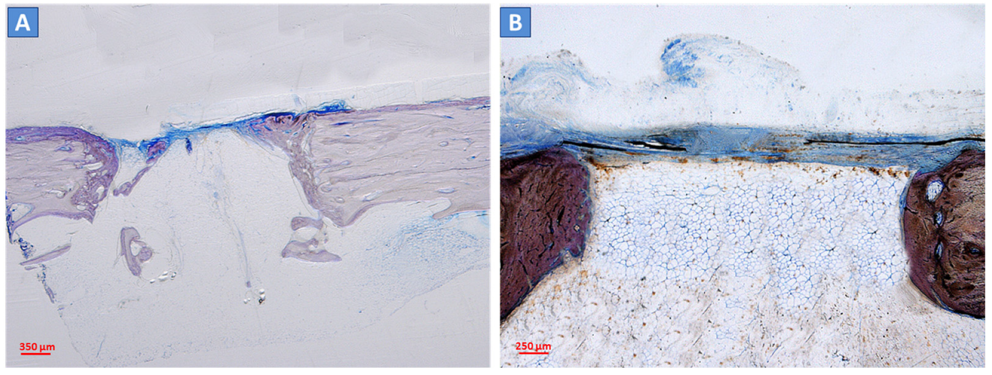 Ijms 24 08137 g005 Ijms 24 08137 g005