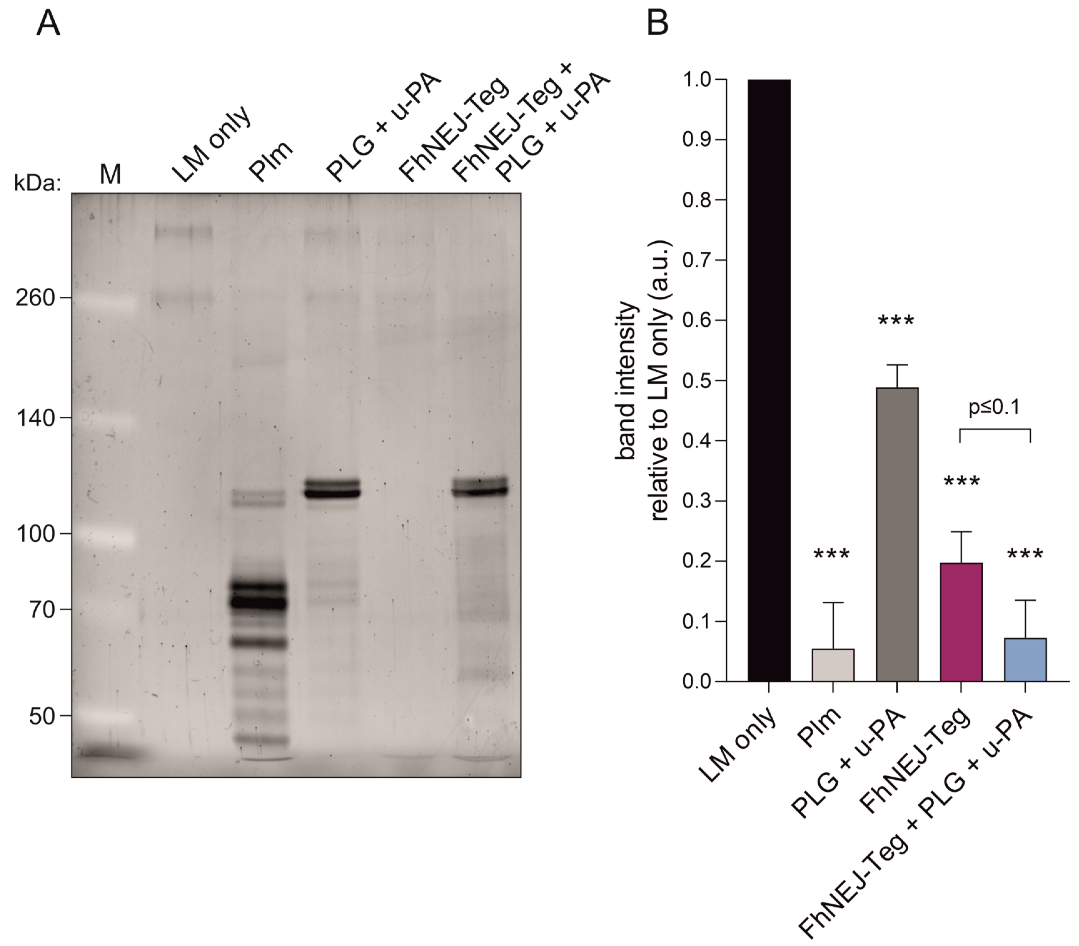 Ijms 24 08165 g006 Ijms 24 08165 g006