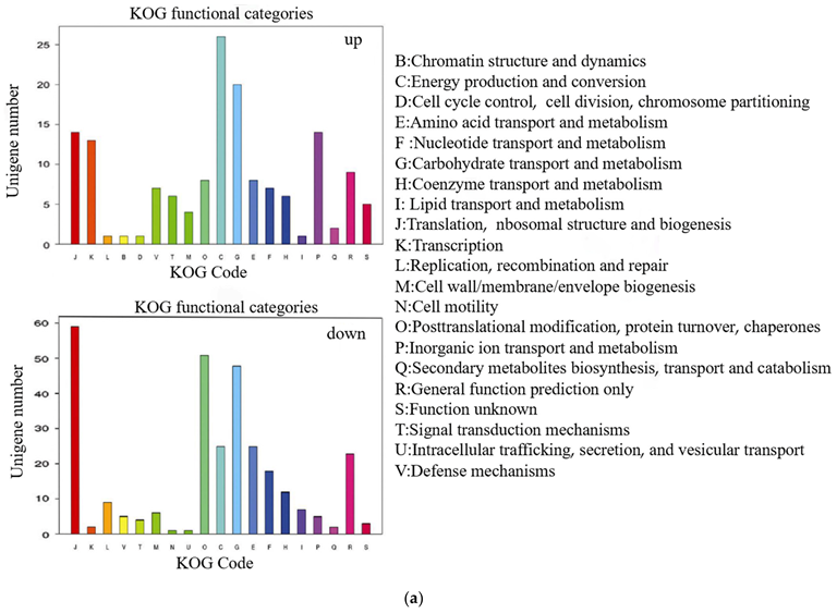 Ijms 24 08168 g003a Ijms 24 08168 g003a