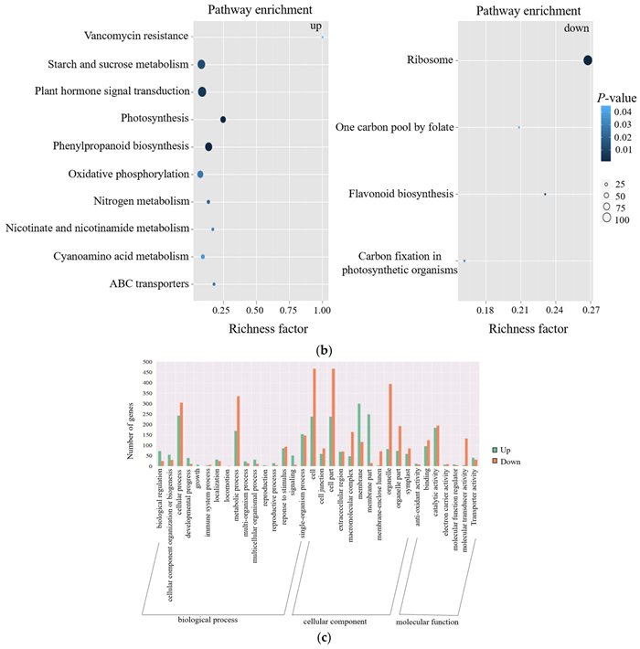 Ijms 24 08168 g003b Ijms 24 08168 g003b