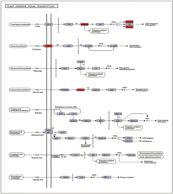 Ijms 24 08168 g004 Ijms 24 08168 g004