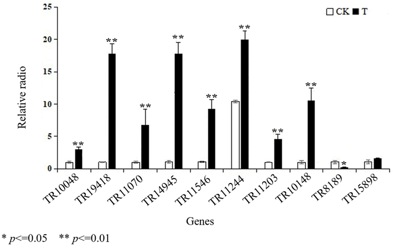 Ijms 24 08168 g006 Ijms 24 08168 g006