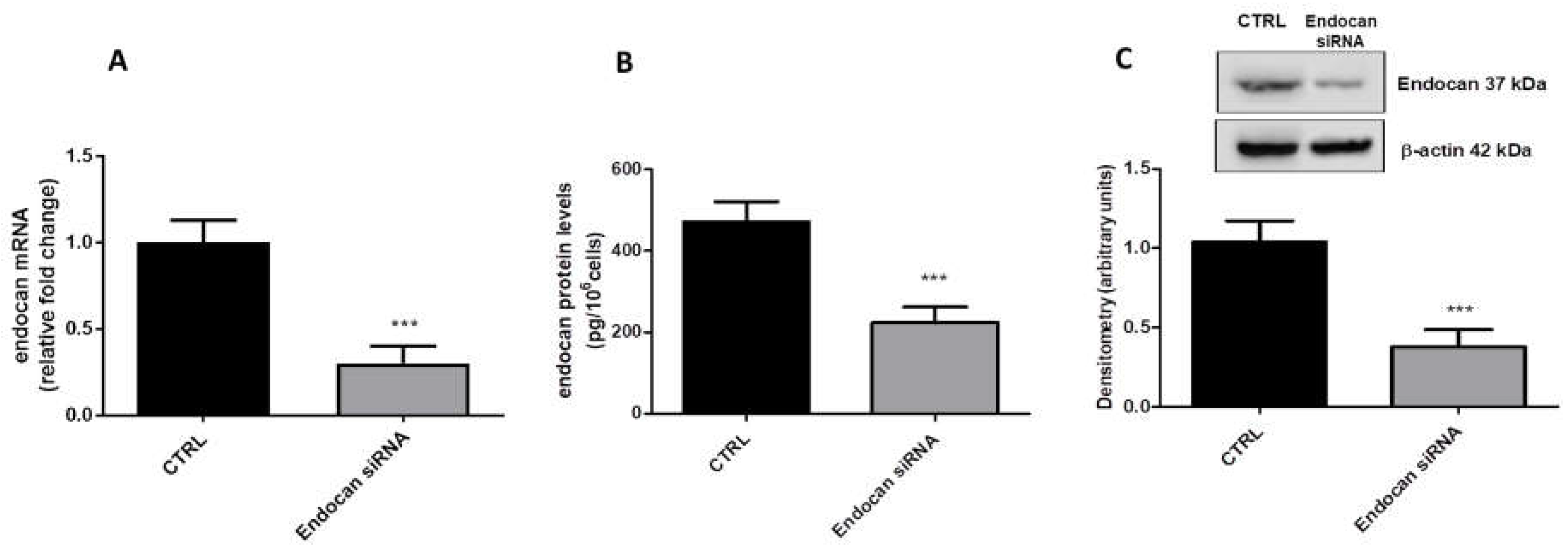 Ijms 24 08178 g001 Ijms 24 08178 g001